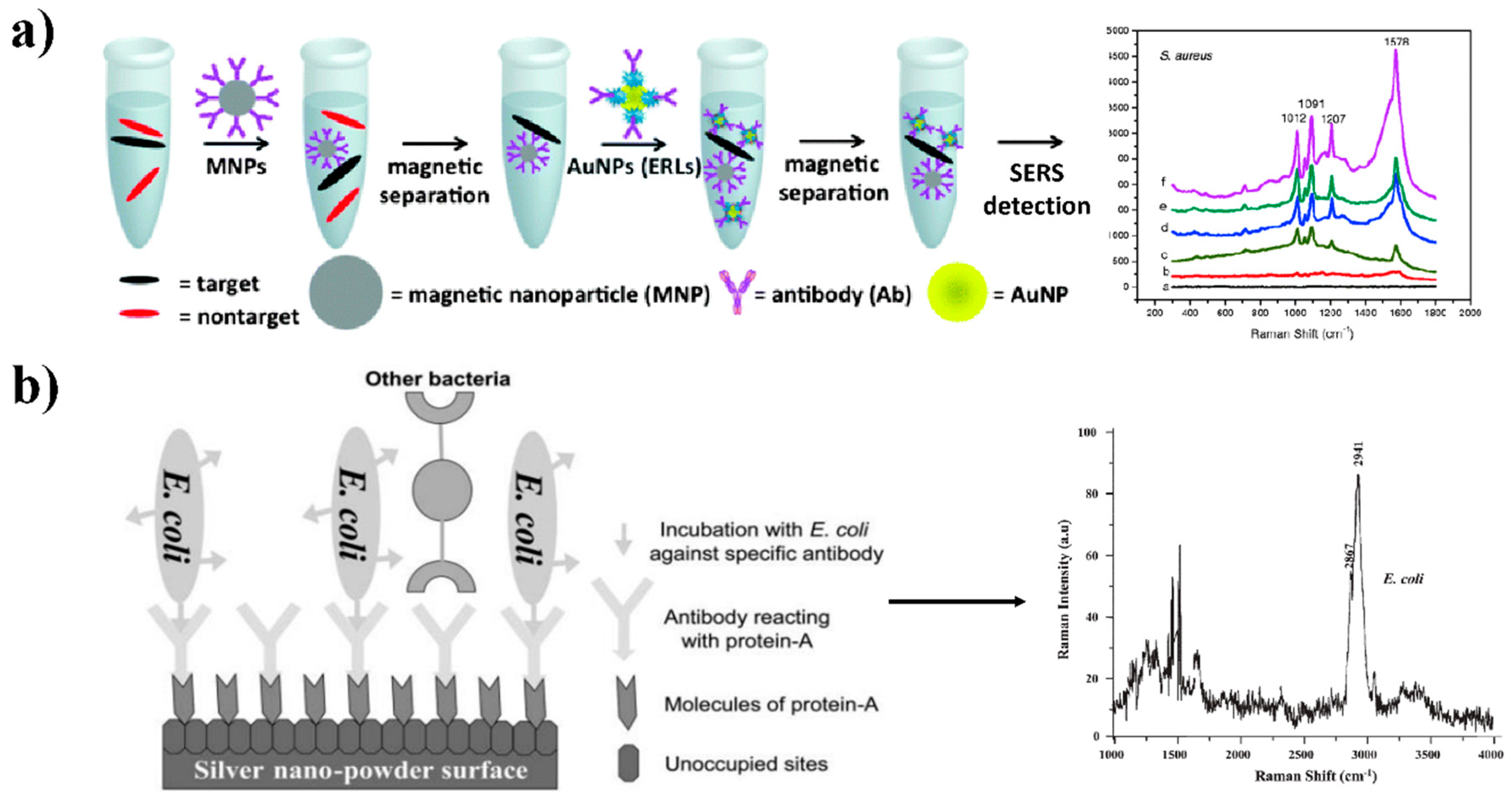 Nanomaterials 08 00762 g006 Nanomaterials 08 00762 g006