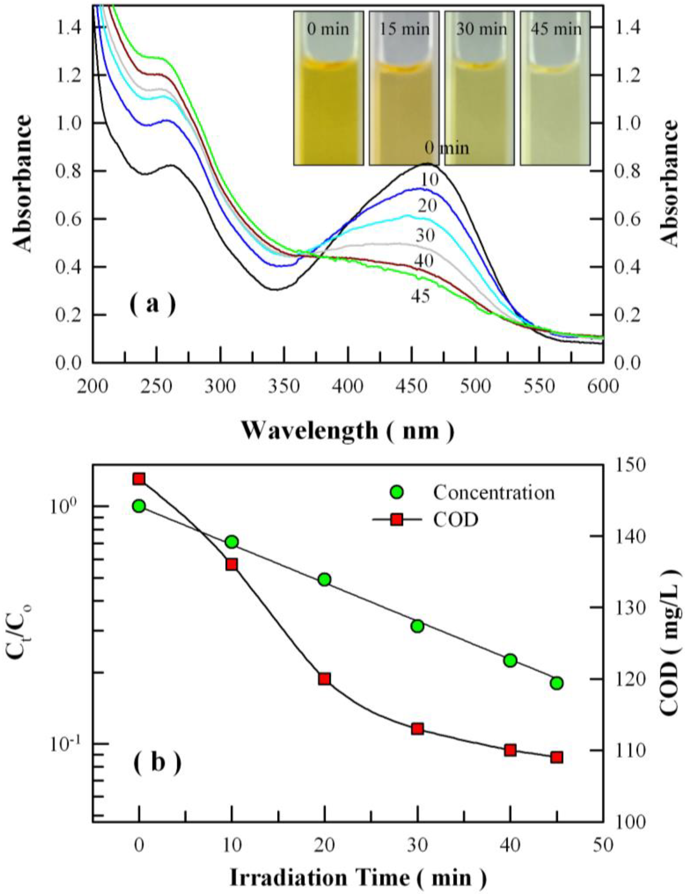 Nanomaterials 08 00765 g015