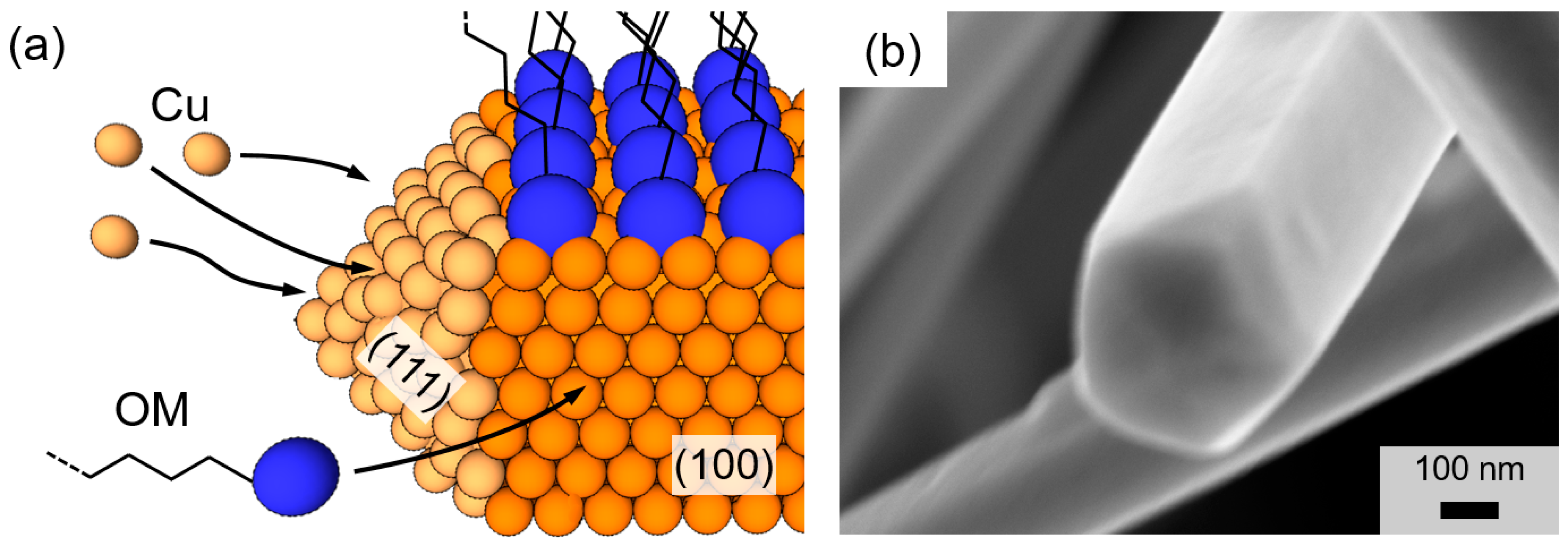 Nanomaterials 08 00767 g001 Nanomaterials 08 00767 g001