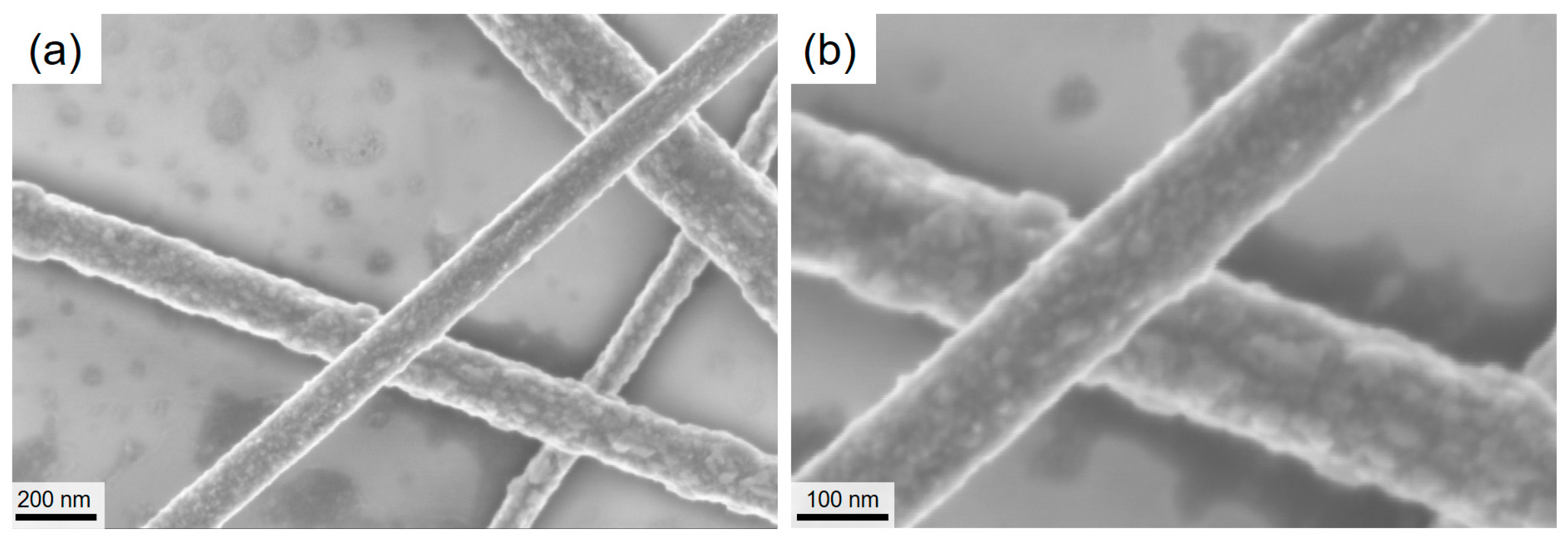 Nanomaterials 08 00767 g0a4 Nanomaterials 08 00767 g0a4