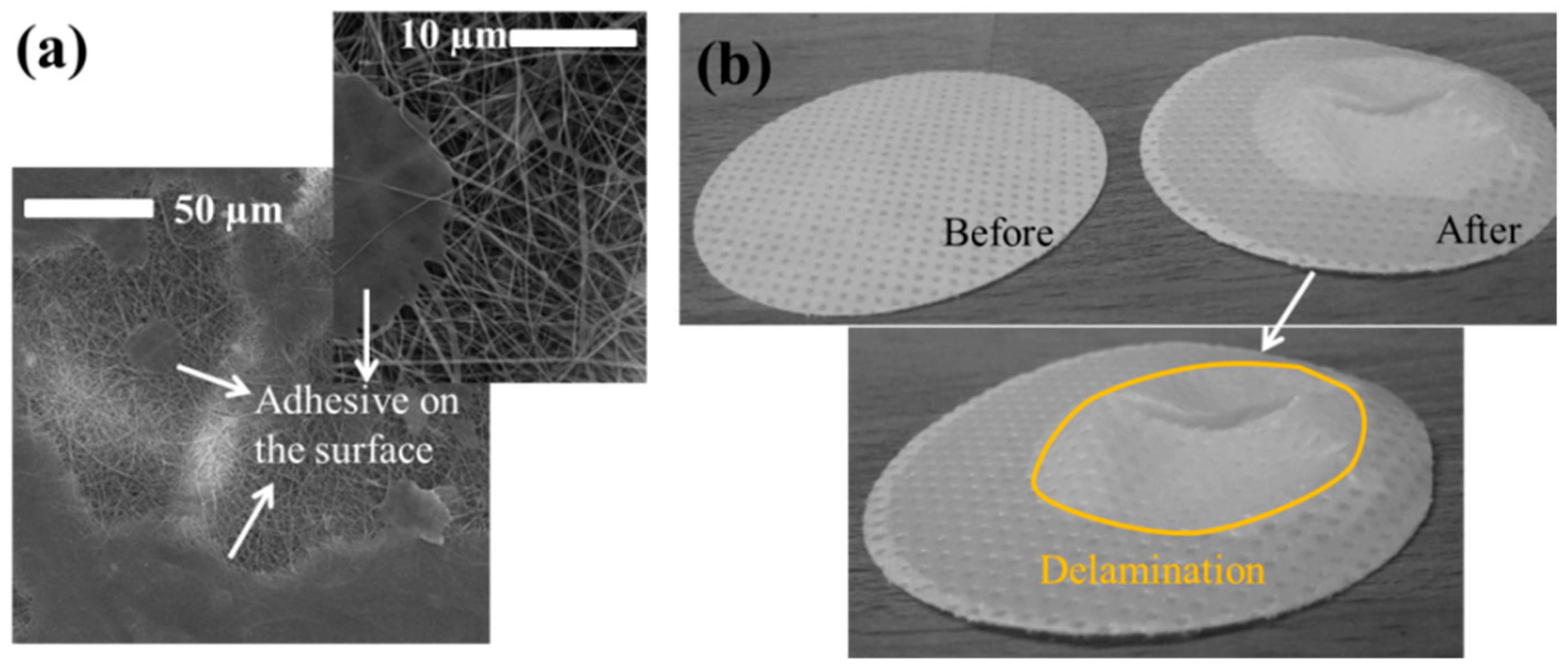 Nanomaterials 08 00771 g005