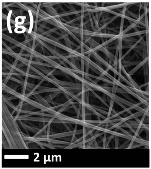 Nanomaterials 08 00771 g0a1b