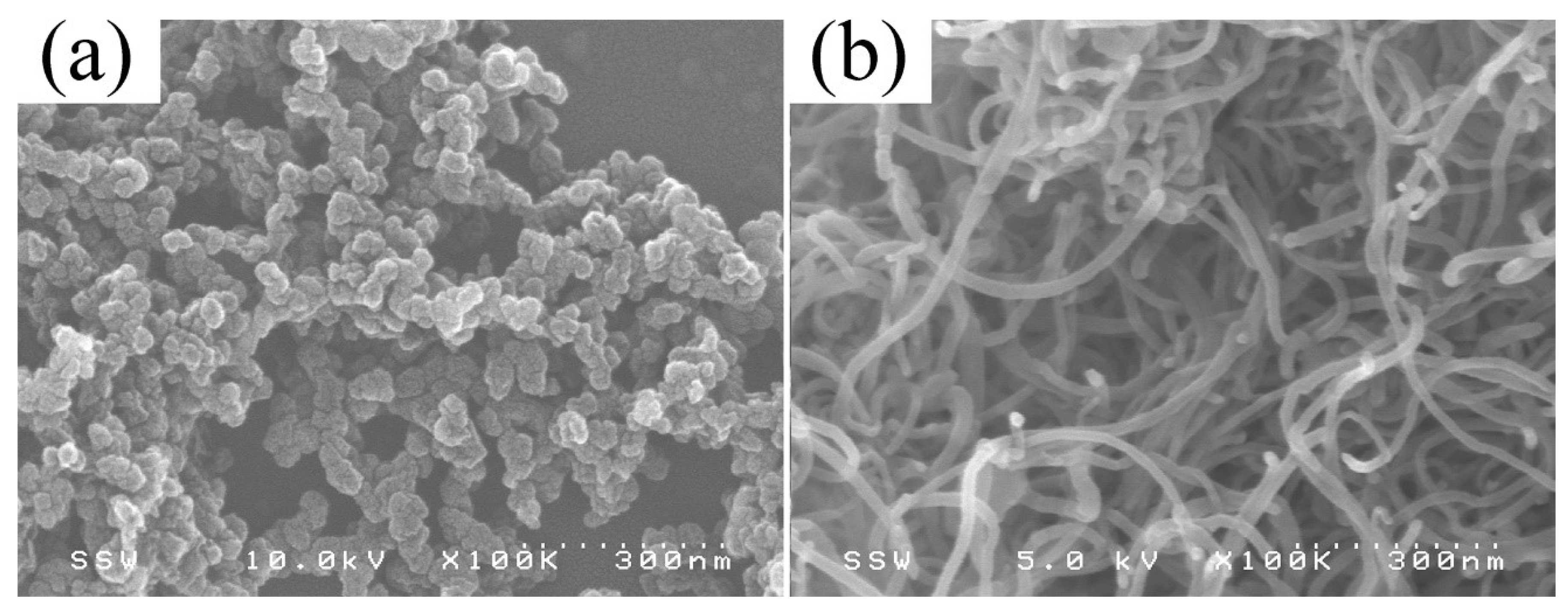 Nanomaterials 08 00779 g001