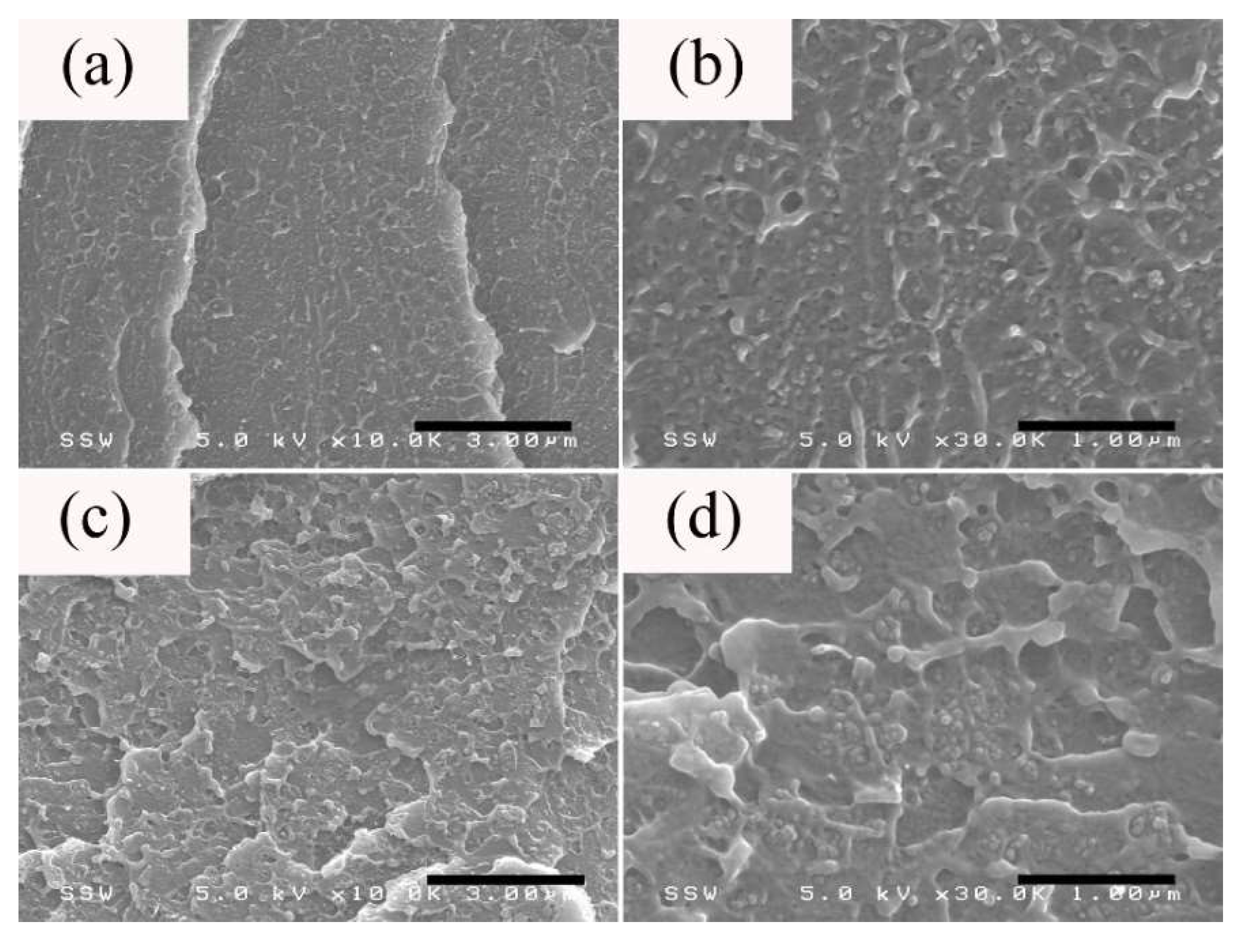 Nanomaterials 08 00779 g005