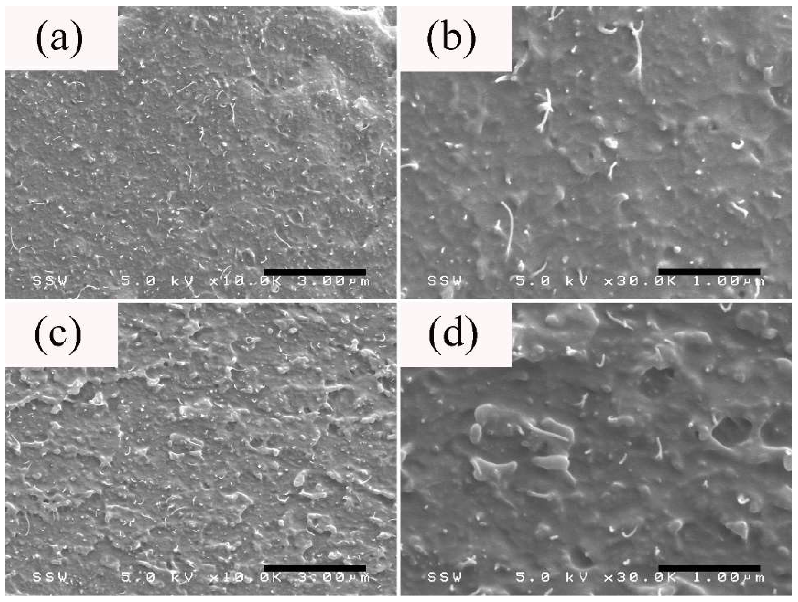 Nanomaterials 08 00779 g006