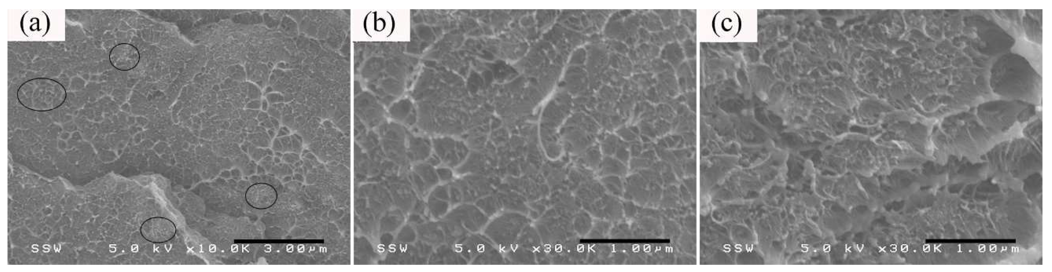 Nanomaterials 08 00779 g007