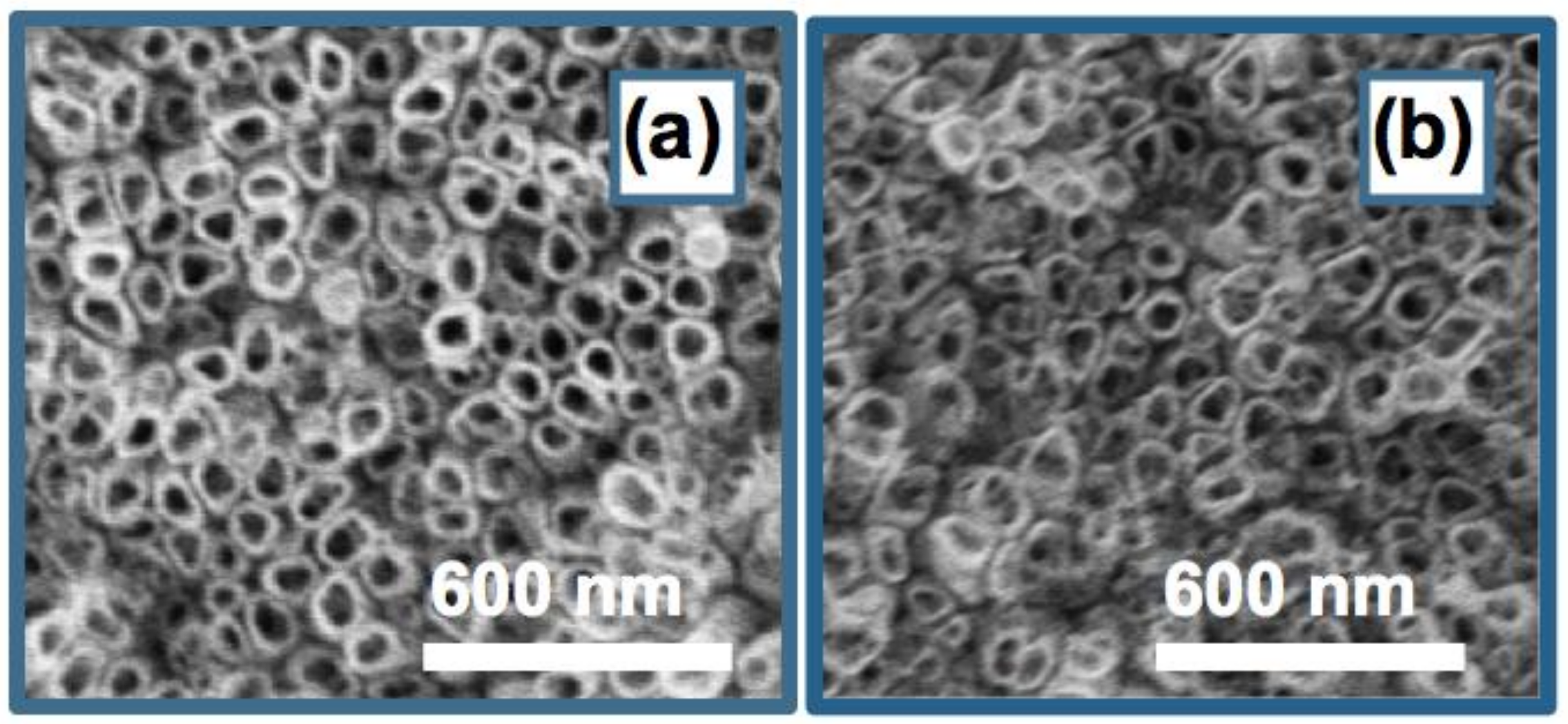 Nanomaterials 08 00783 g006 Nanomaterials 08 00783 g006