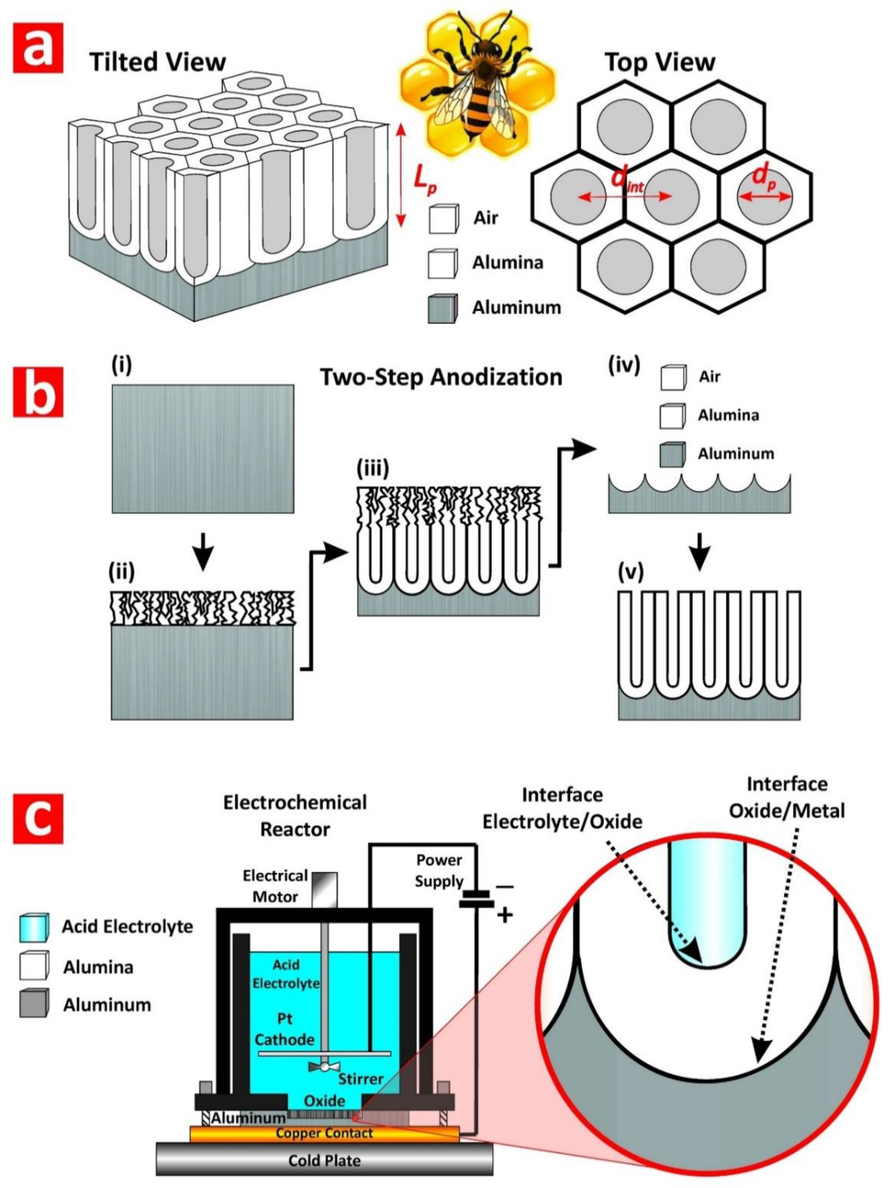 Nanomaterials 08 00788 g002 Nanomaterials 08 00788 g002