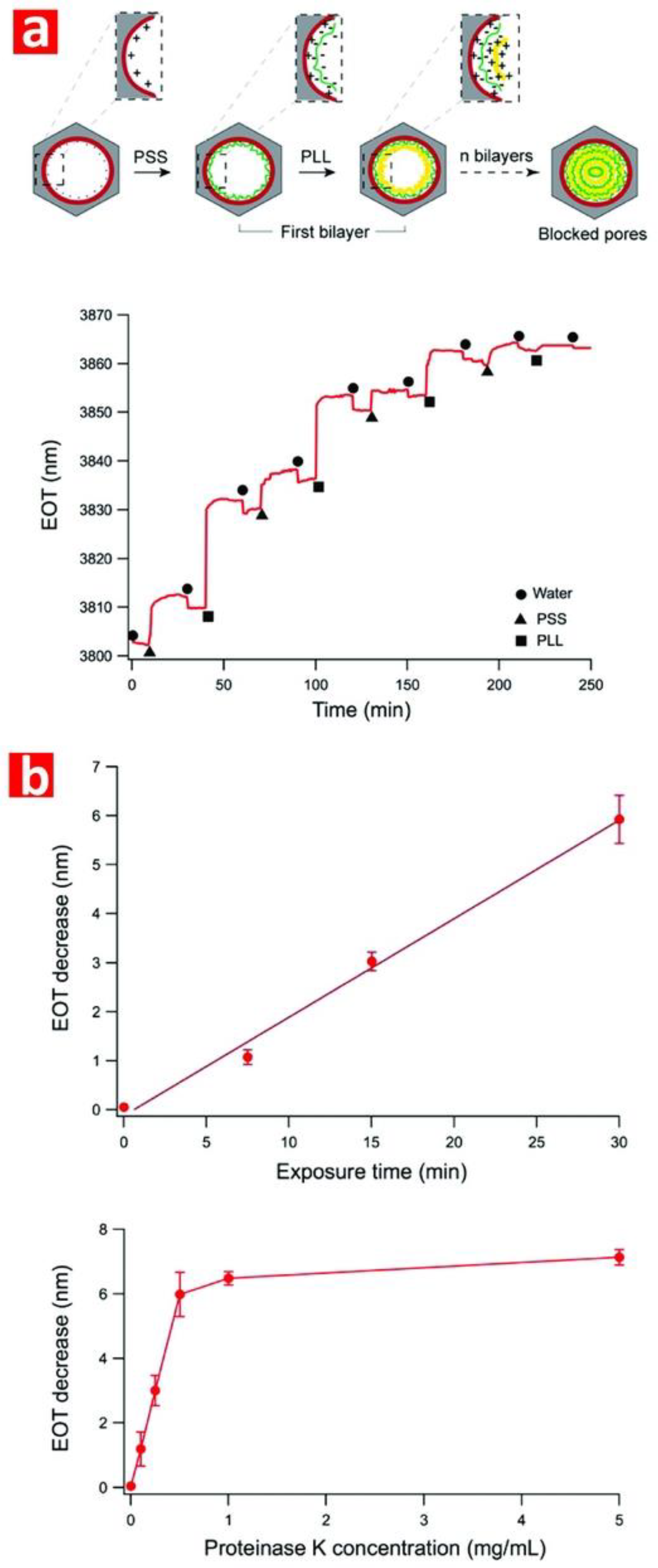 Nanomaterials 08 00788 g013 Nanomaterials 08 00788 g013