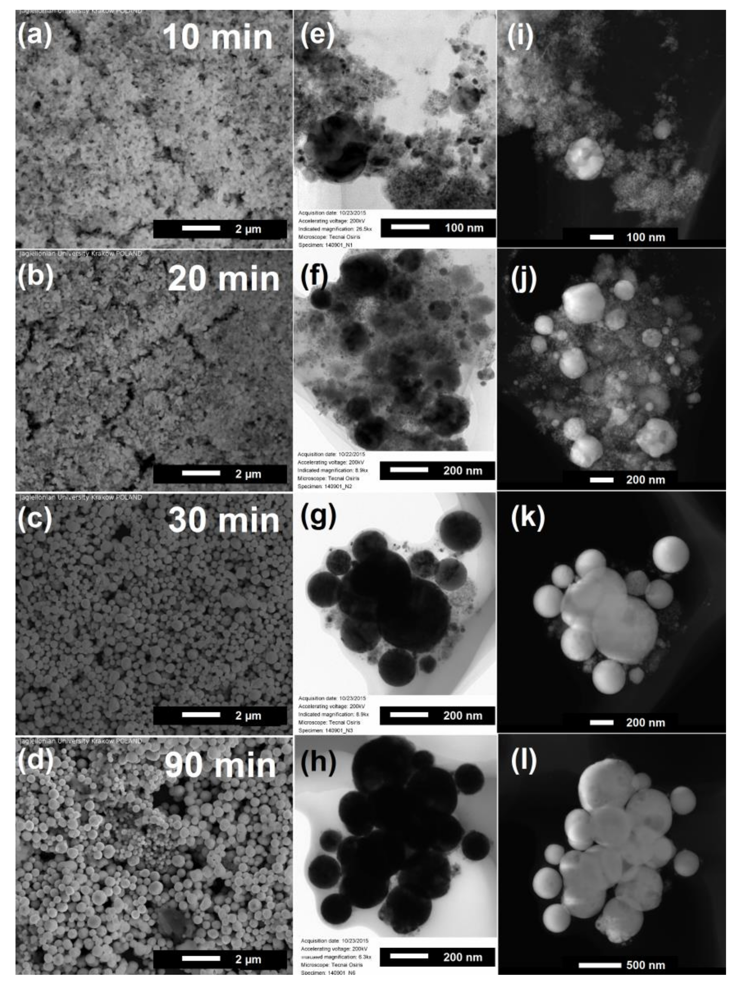 Nanomaterials 08 00790 g002 Nanomaterials 08 00790 g002