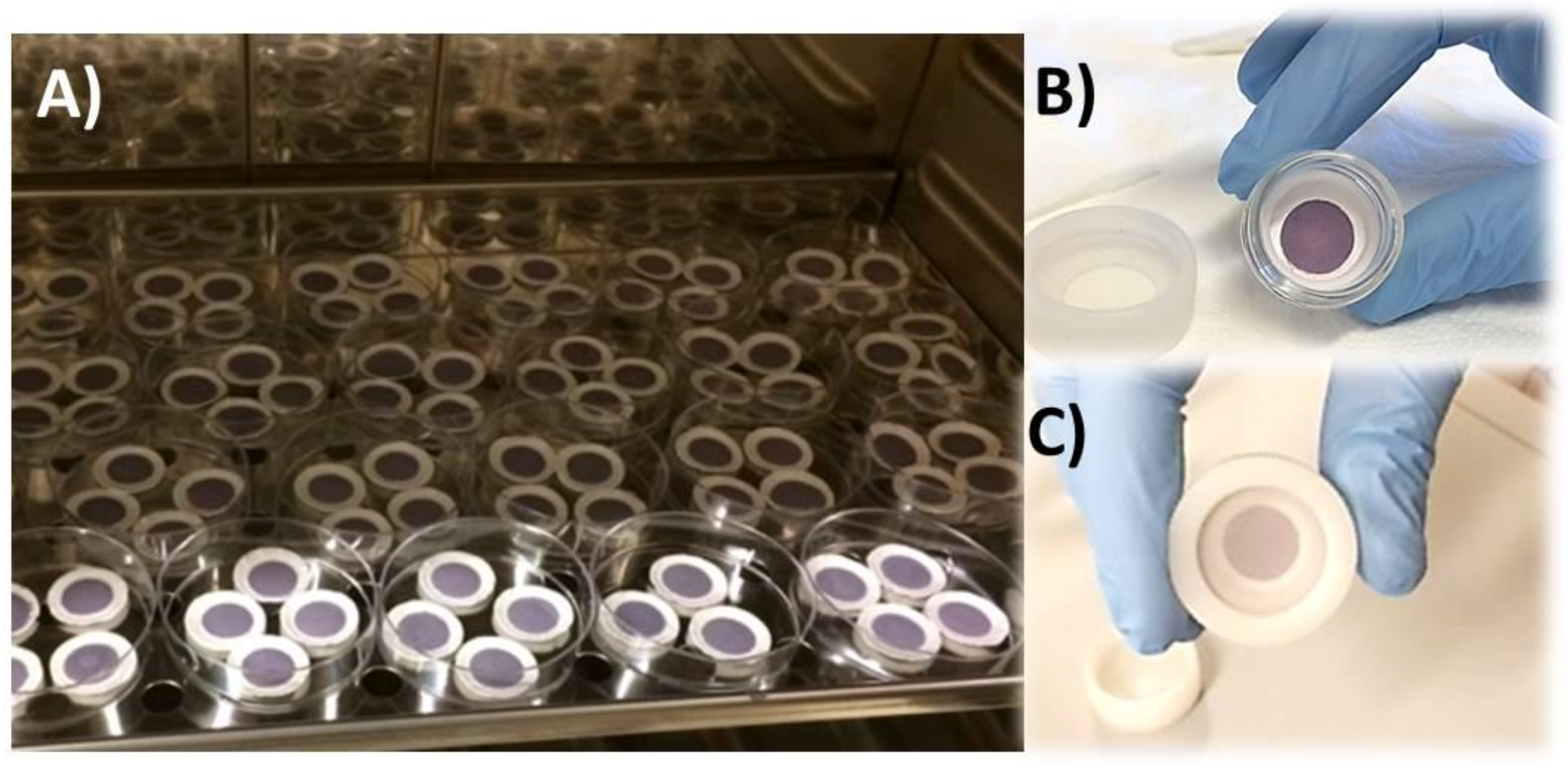 Nanomaterials 08 00798 g011 Nanomaterials 08 00798 g011