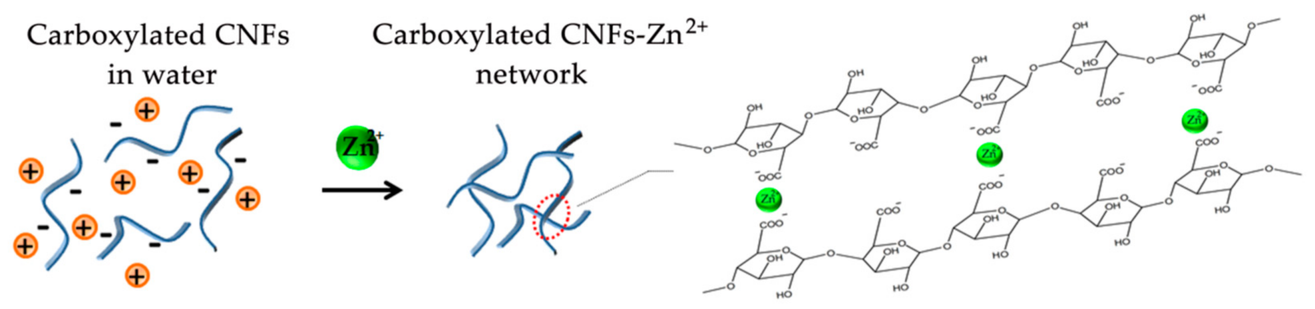 Nanomaterials 08 00800 g004