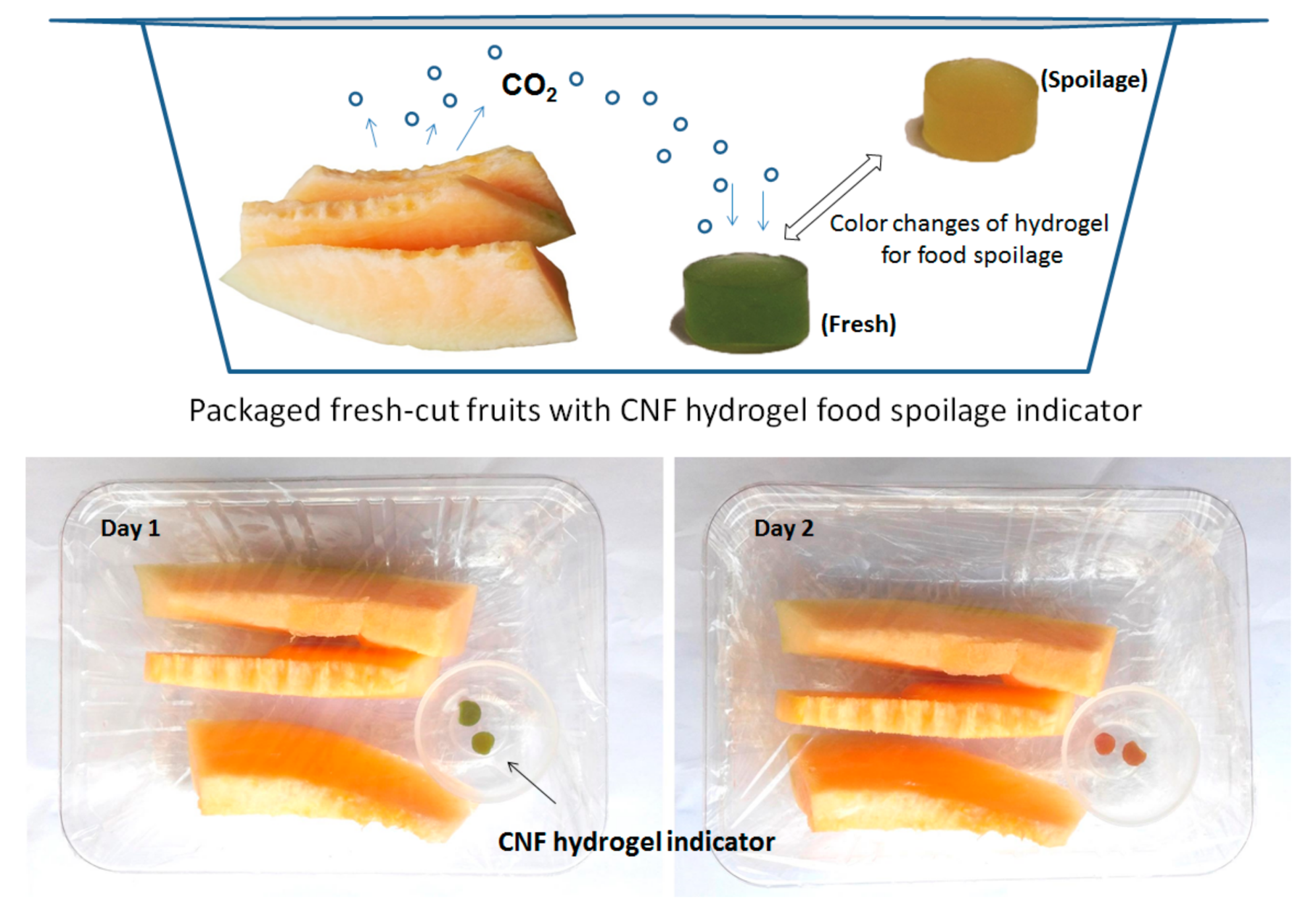 Nanomaterials 08 00800 g008