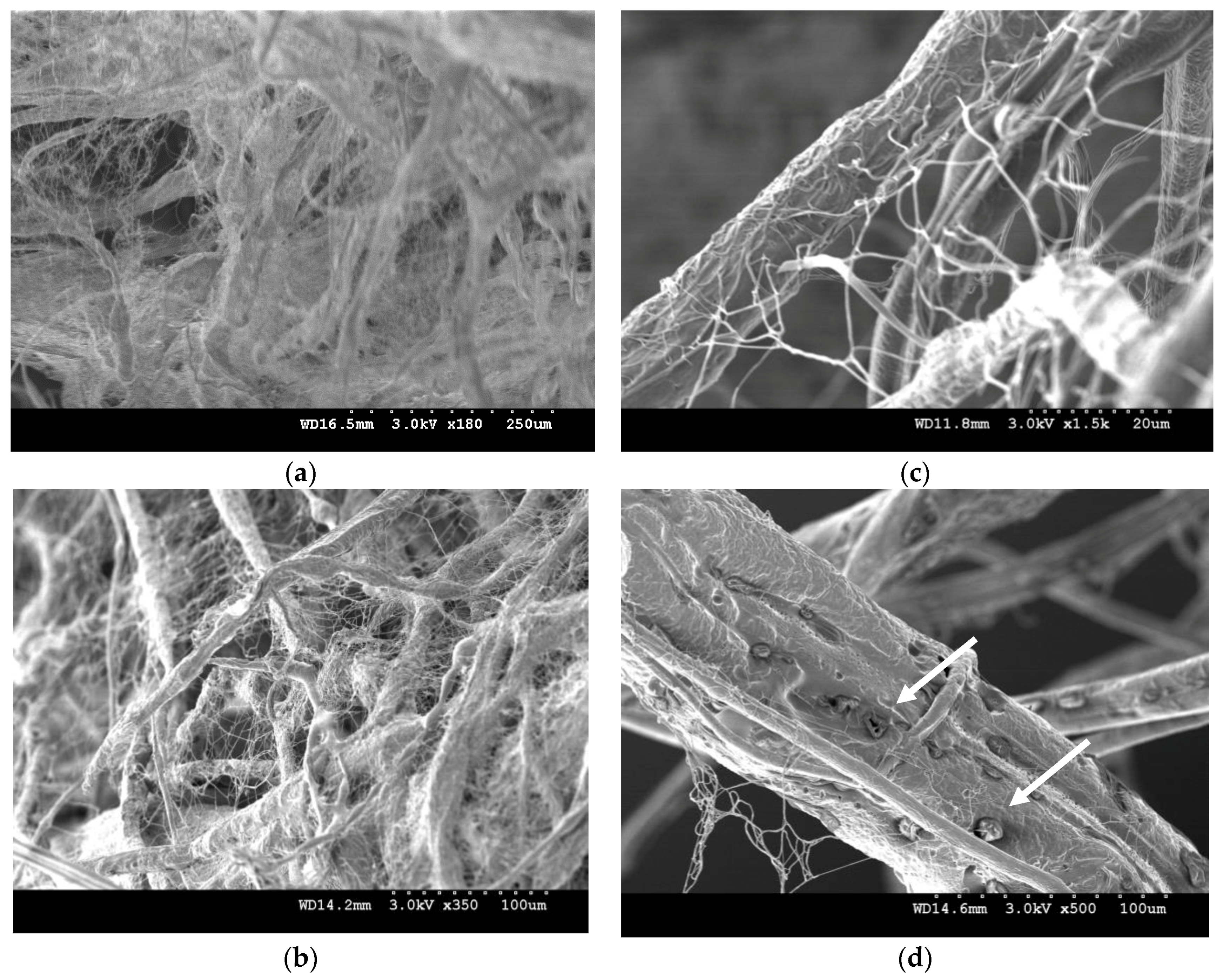 Nanomaterials 08 00803 g005 Nanomaterials 08 00803 g005