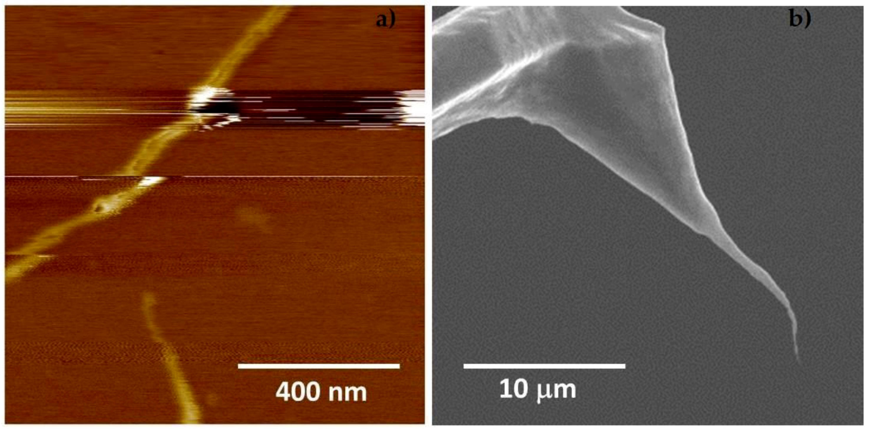Nanomaterials 08 00807 g001 Nanomaterials 08 00807 g001