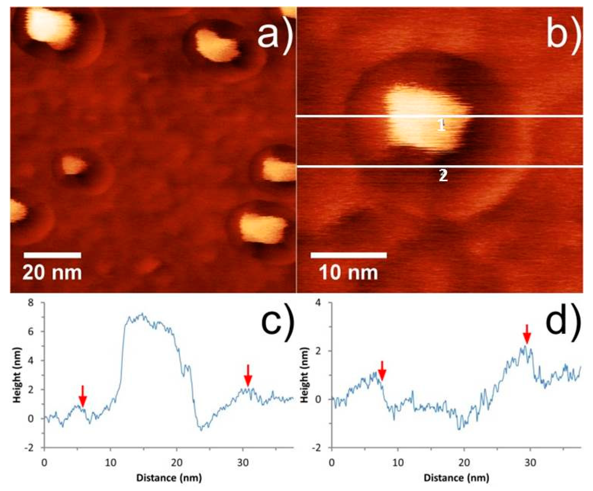 Nanomaterials 08 00807 g007 Nanomaterials 08 00807 g007