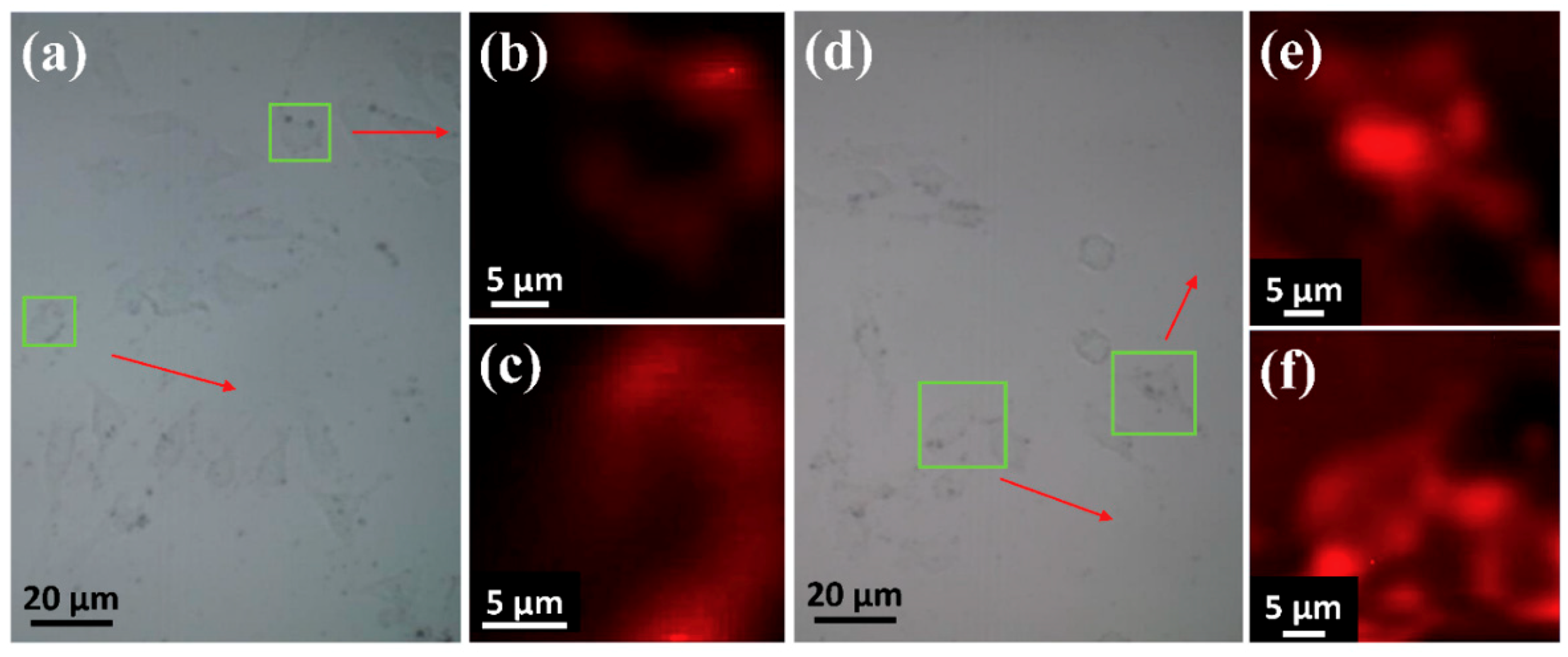 Nanomaterials 08 00819 g004 Nanomaterials 08 00819 g004