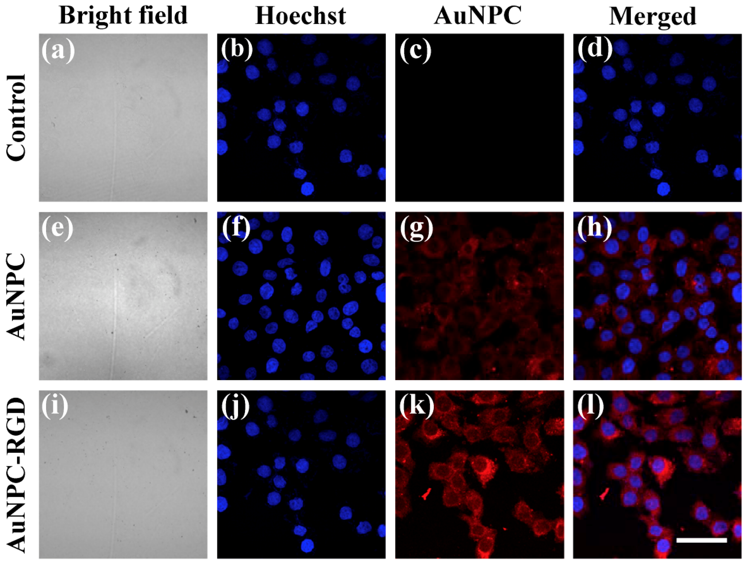 Nanomaterials 08 00819 g005 Nanomaterials 08 00819 g005