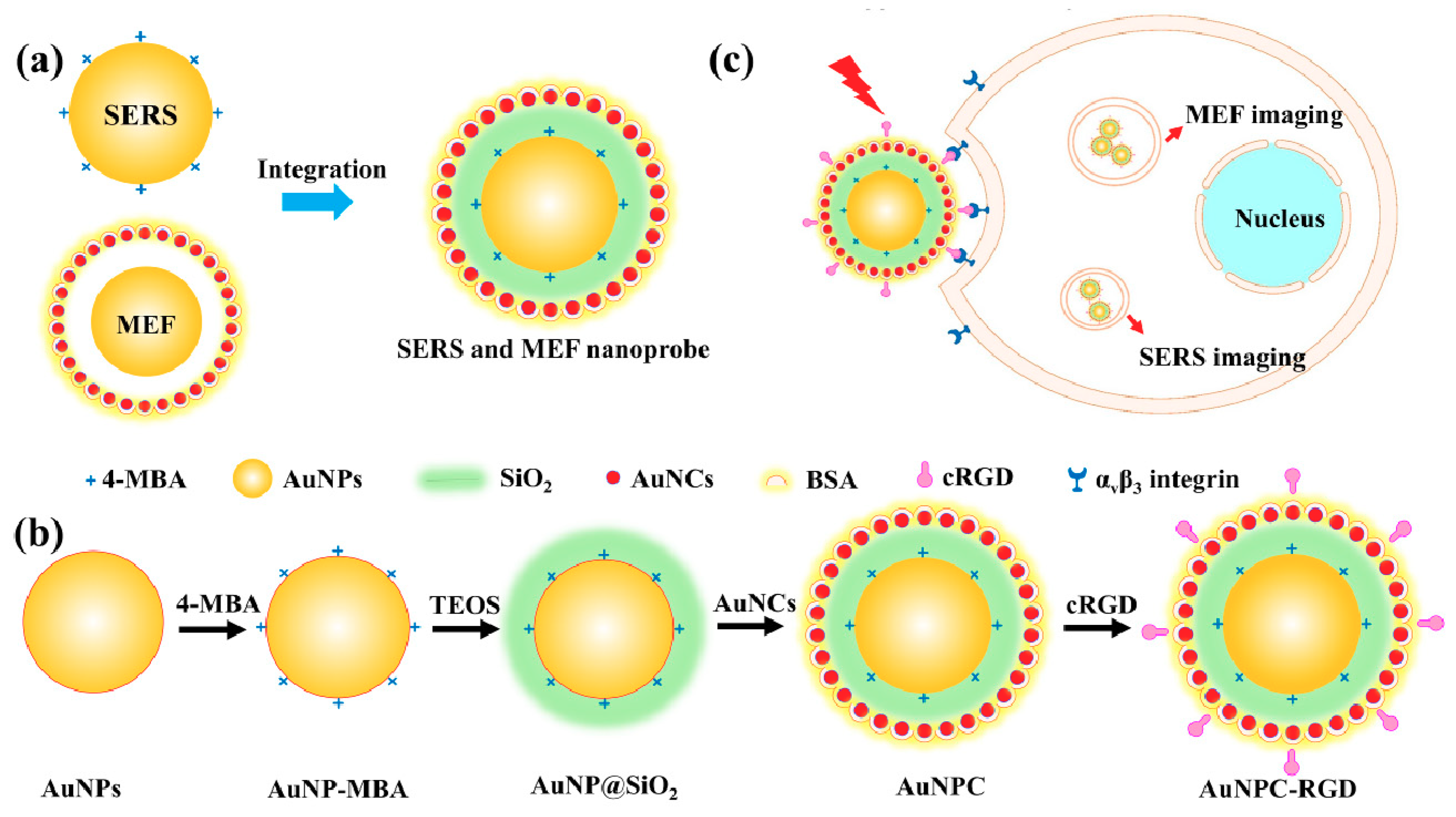 Nanomaterials 08 00819 sch001 Nanomaterials 08 00819 sch001