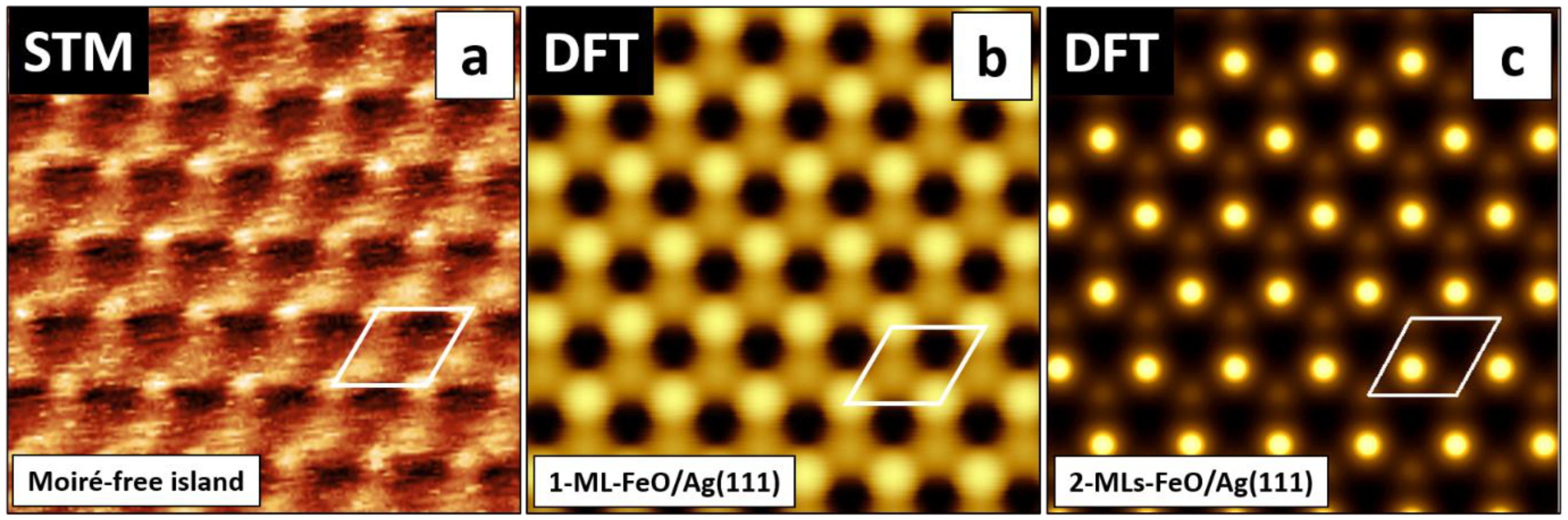 Nanomaterials 08 00828 g007