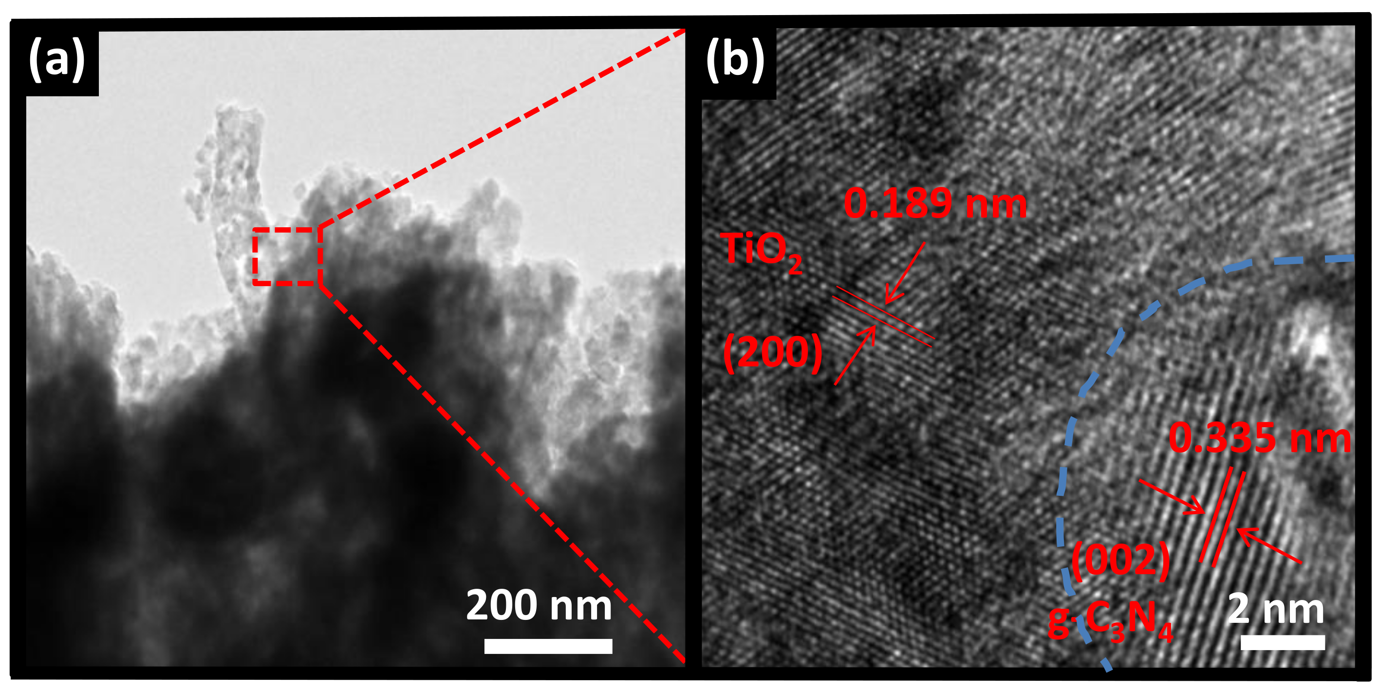Nanomaterials 08 00842 g003