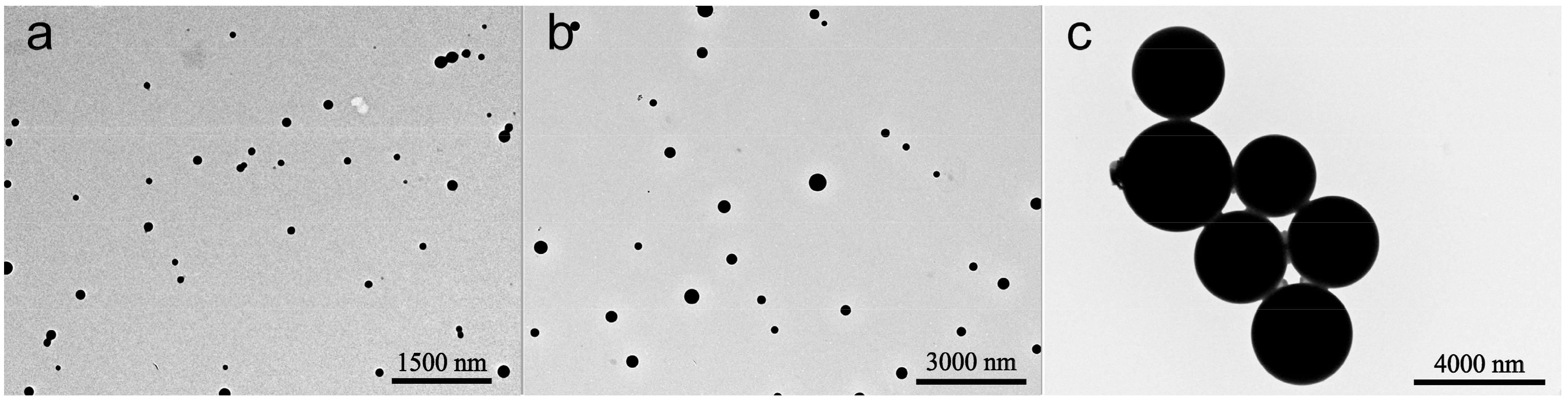 Nanomaterials 08 00857 g005 Nanomaterials 08 00857 g005