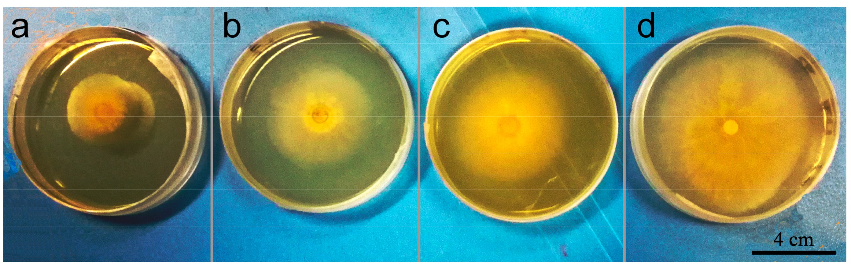 Nanomaterials 08 00857 g011 Nanomaterials 08 00857 g011