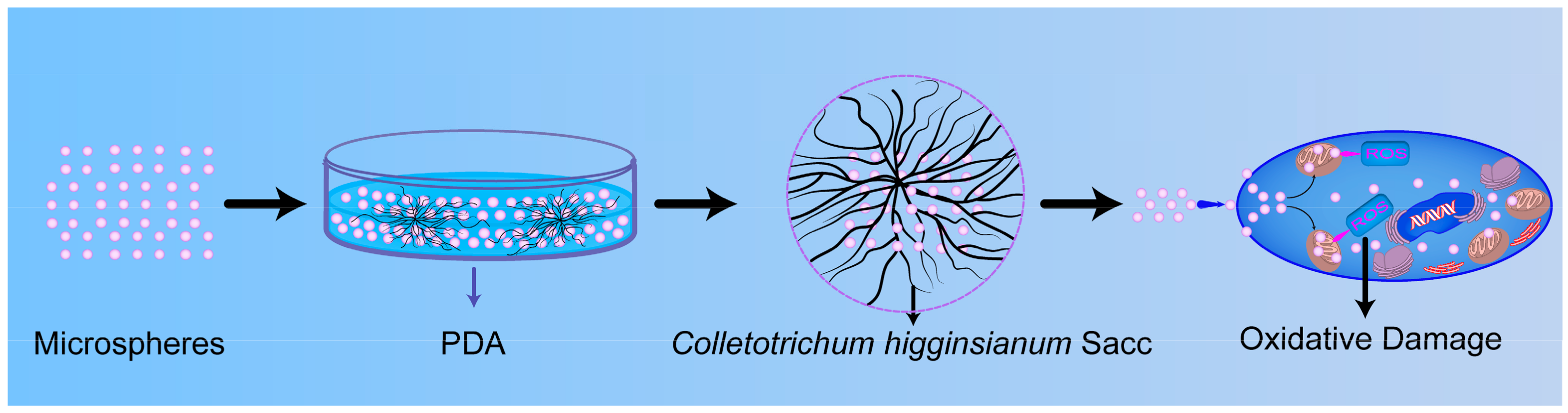 Nanomaterials 08 00857 g016 Nanomaterials 08 00857 g016