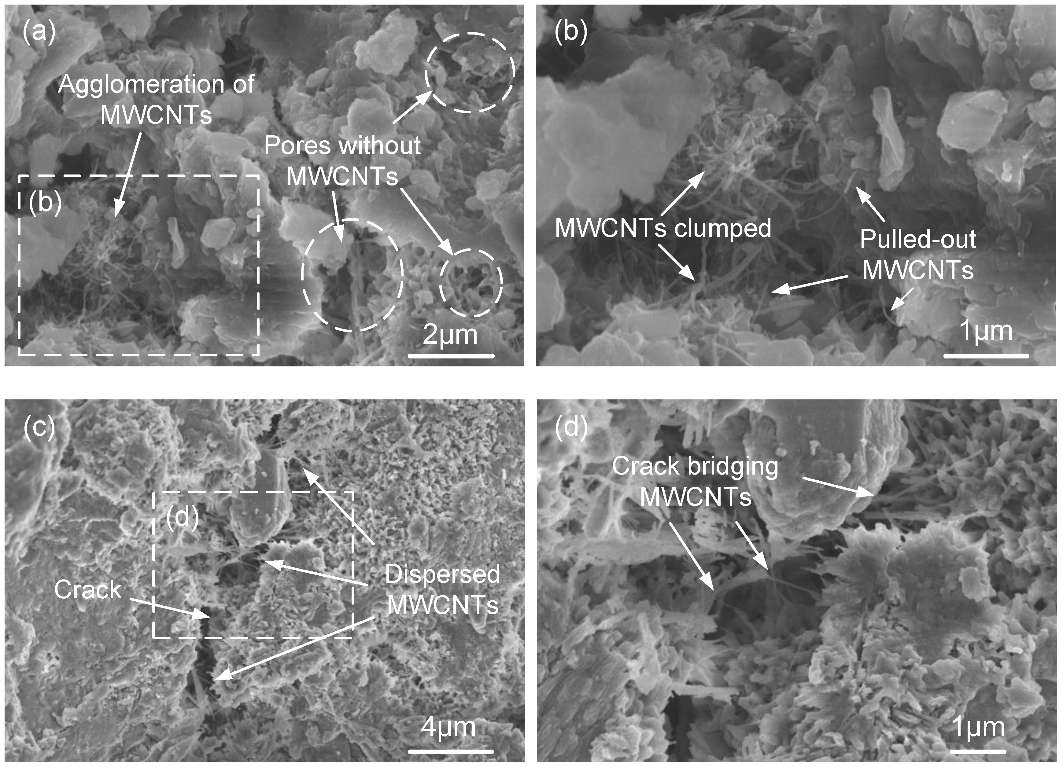 Nanomaterials 08 00858 g009