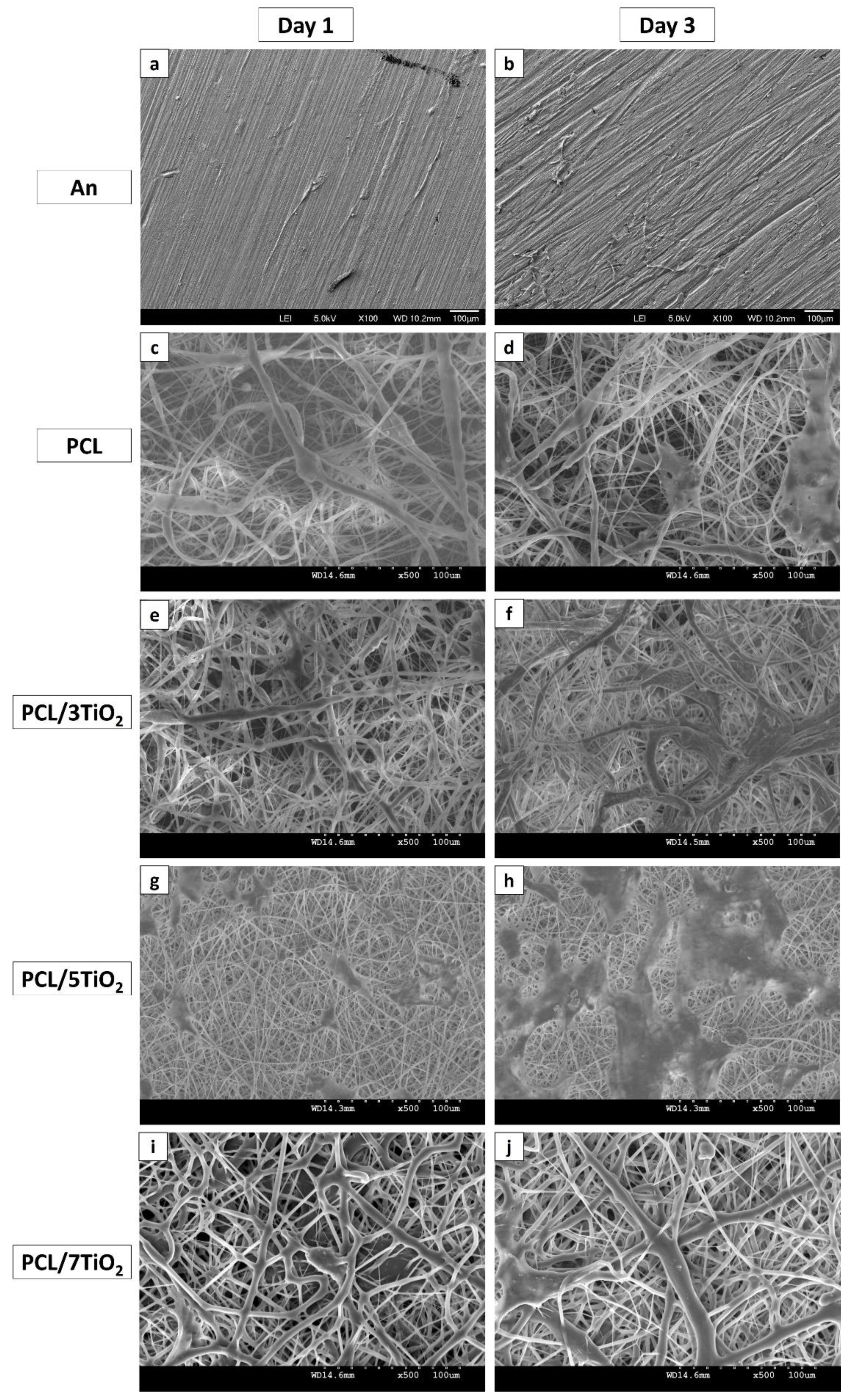 Nanomaterials 08 00860 g006 Nanomaterials 08 00860 g006