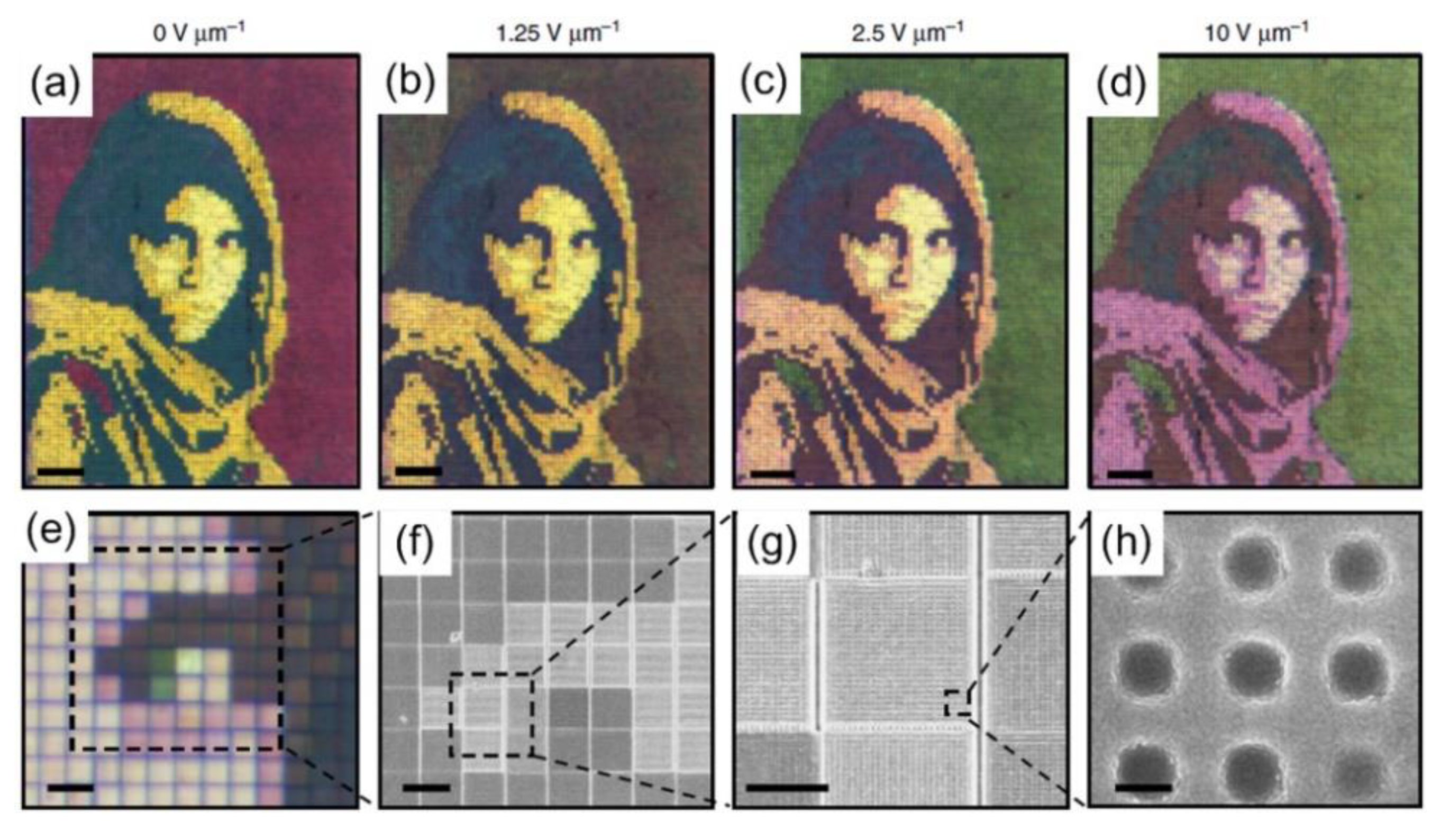 Nanomaterials 08 00871 g013