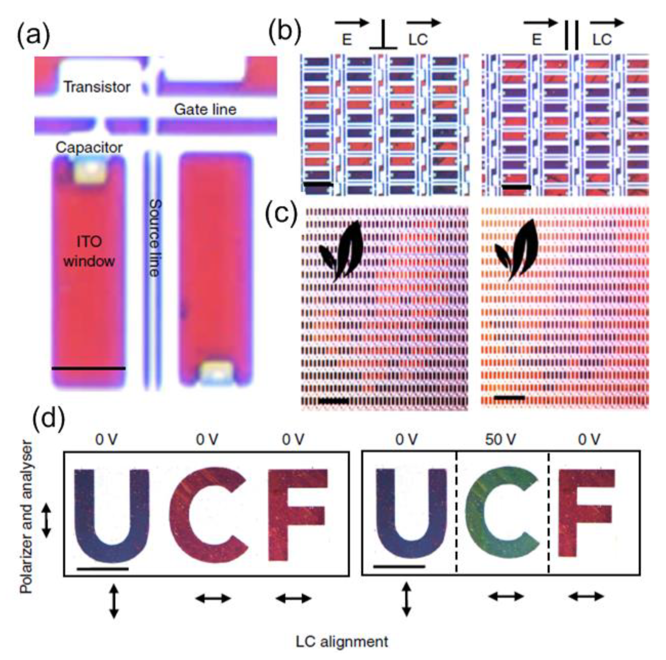 Nanomaterials 08 00871 g014