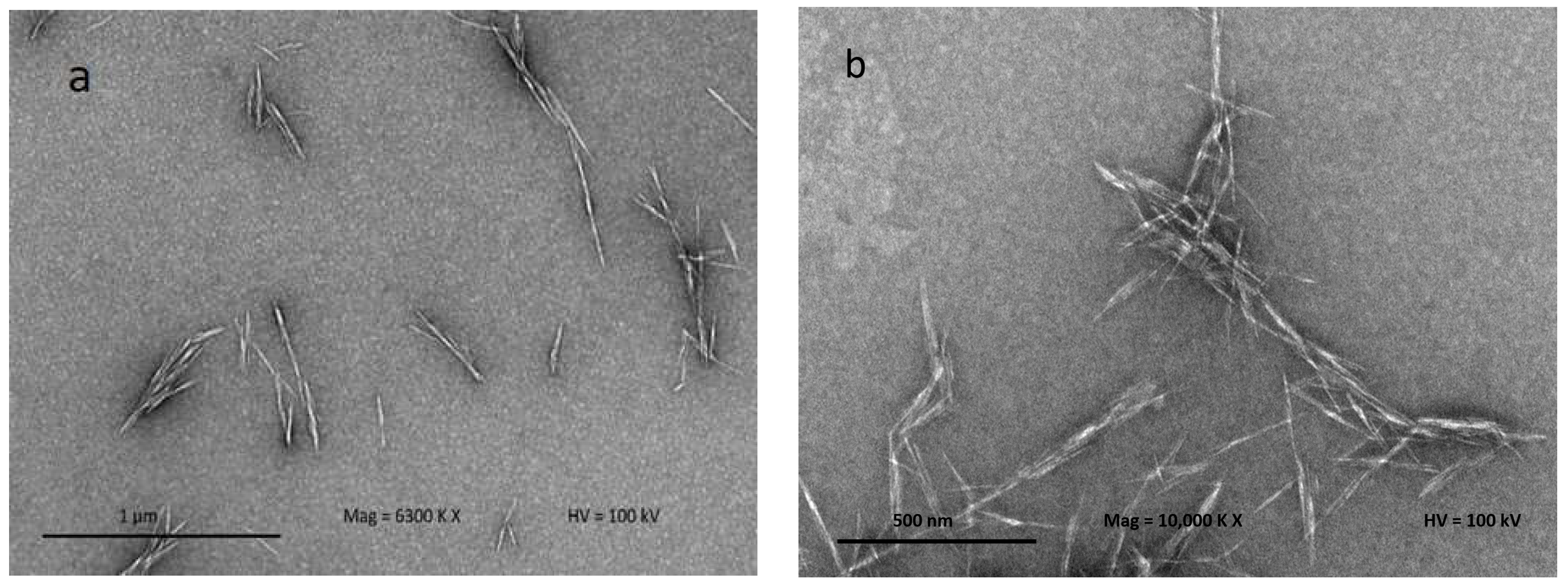 Nanomaterials 08 00874 g004 Nanomaterials 08 00874 g004