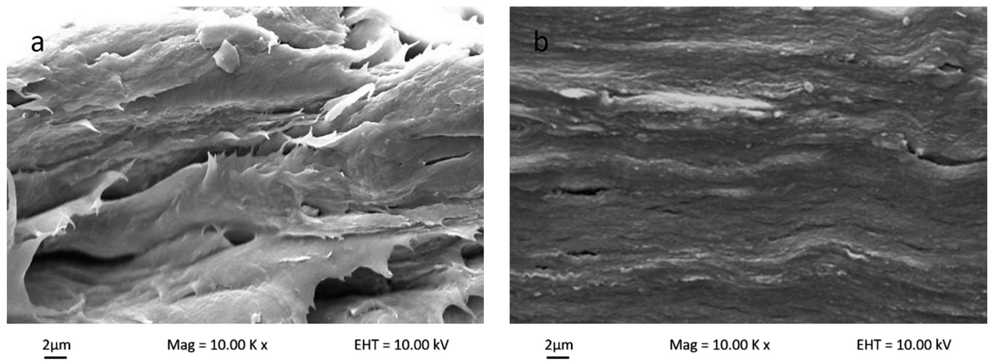 Nanomaterials 08 00874 g005a Nanomaterials 08 00874 g005a