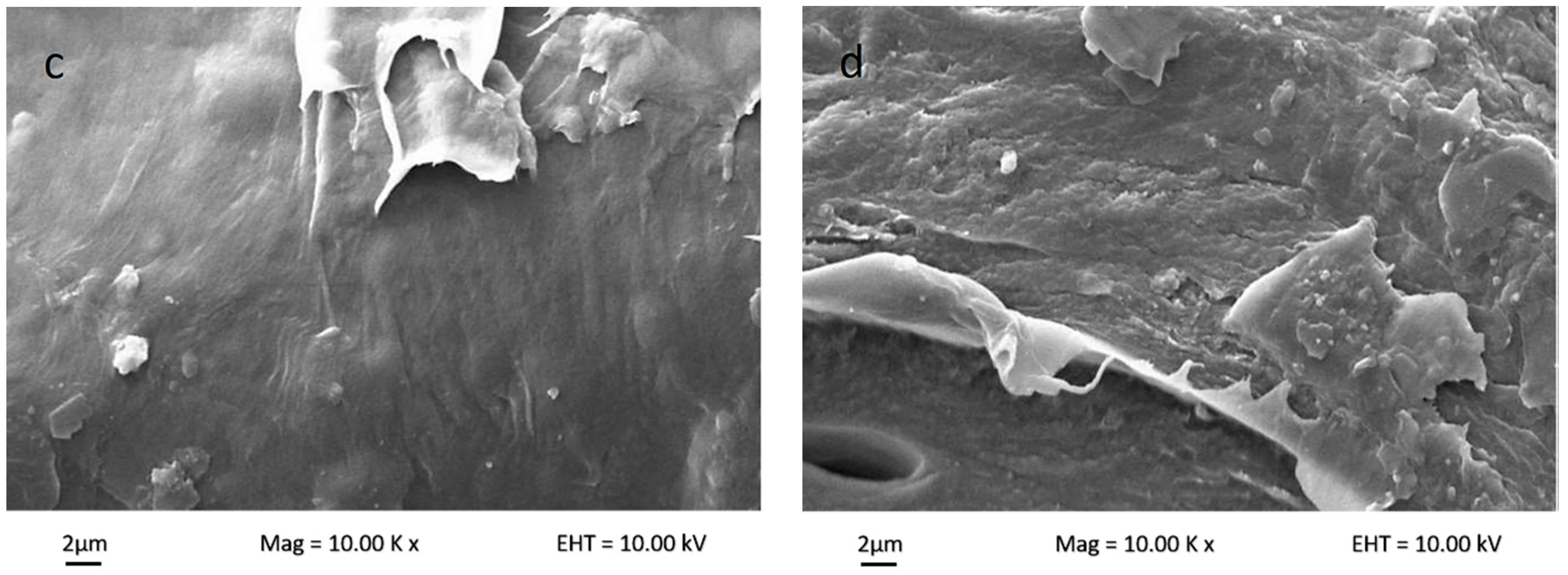 Nanomaterials 08 00874 g005b Nanomaterials 08 00874 g005b