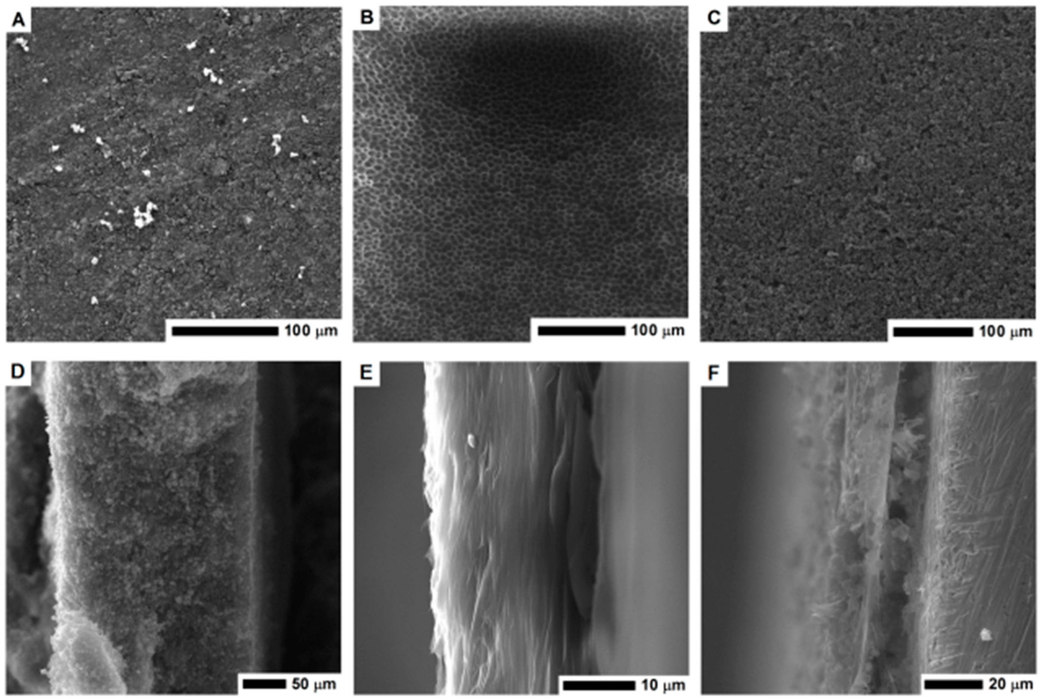 Nanomaterials 08 00890 g003 Nanomaterials 08 00890 g003