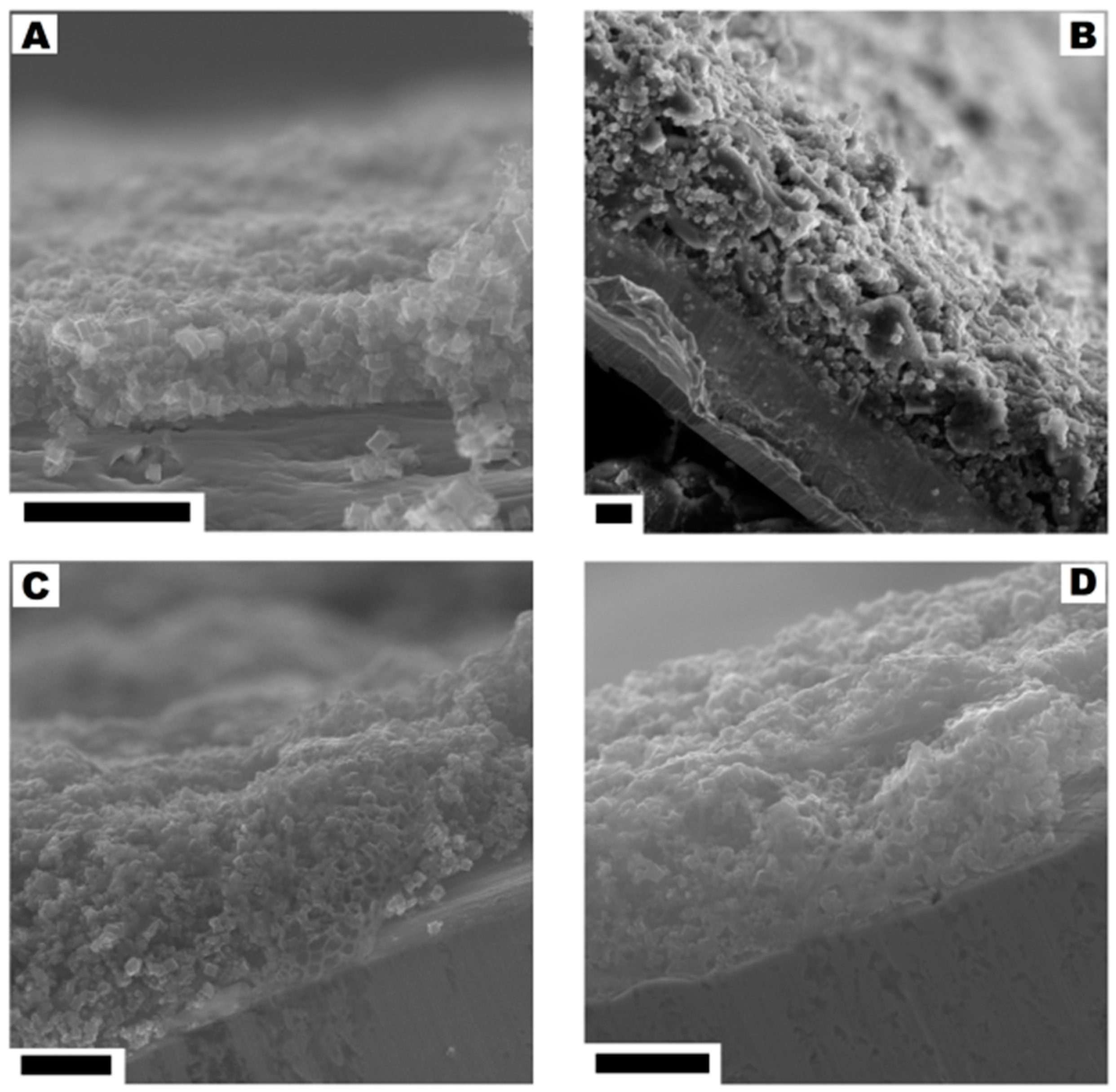 Nanomaterials 08 00890 g010 Nanomaterials 08 00890 g010