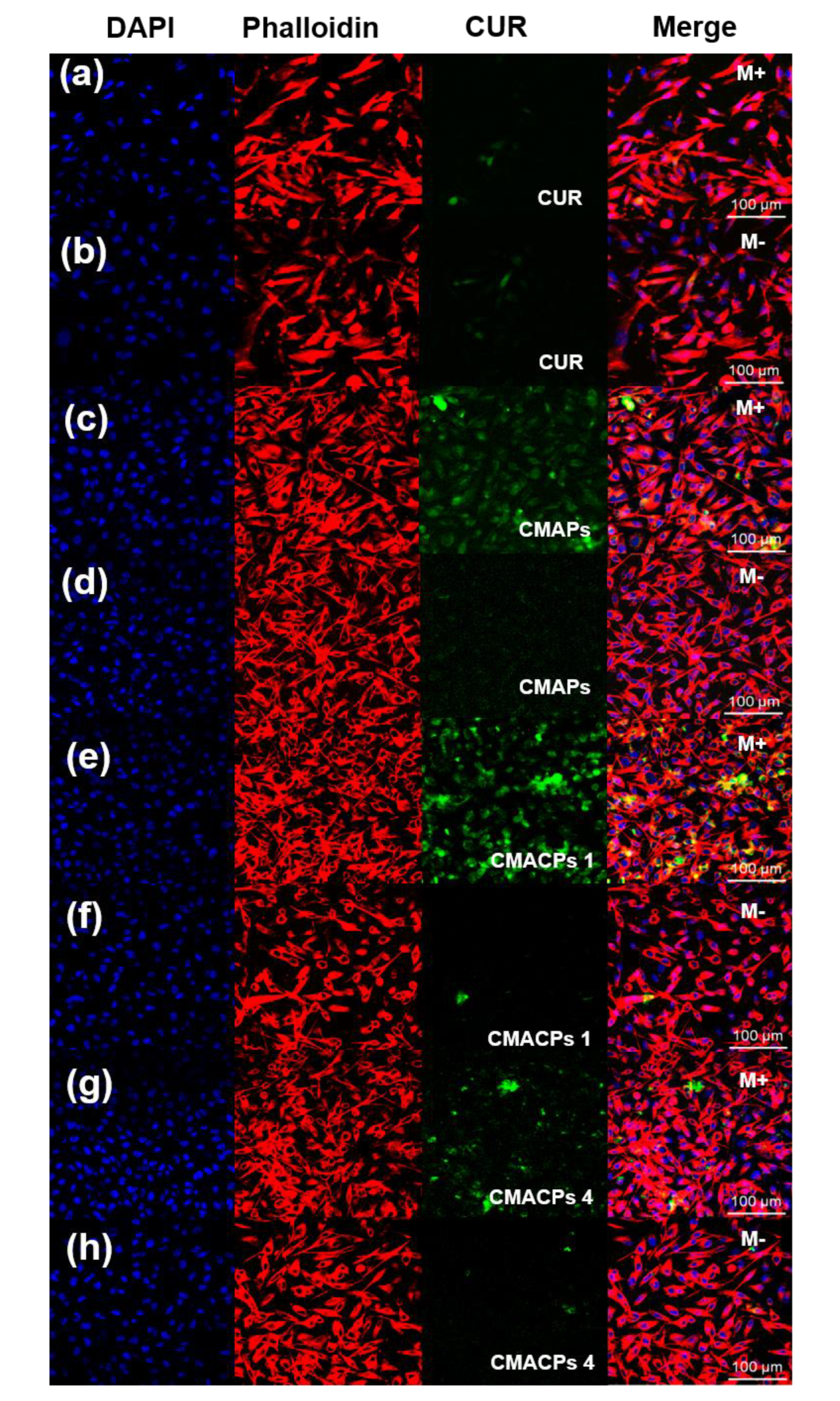Nanomaterials 08 00907 g007