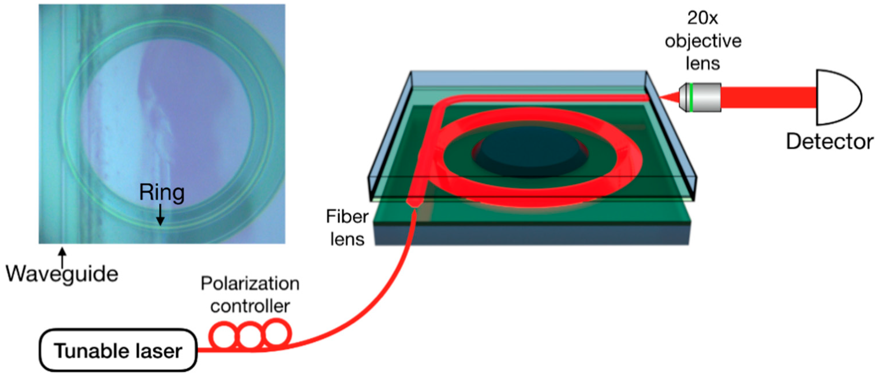 Nanomaterials 08 00910 g002