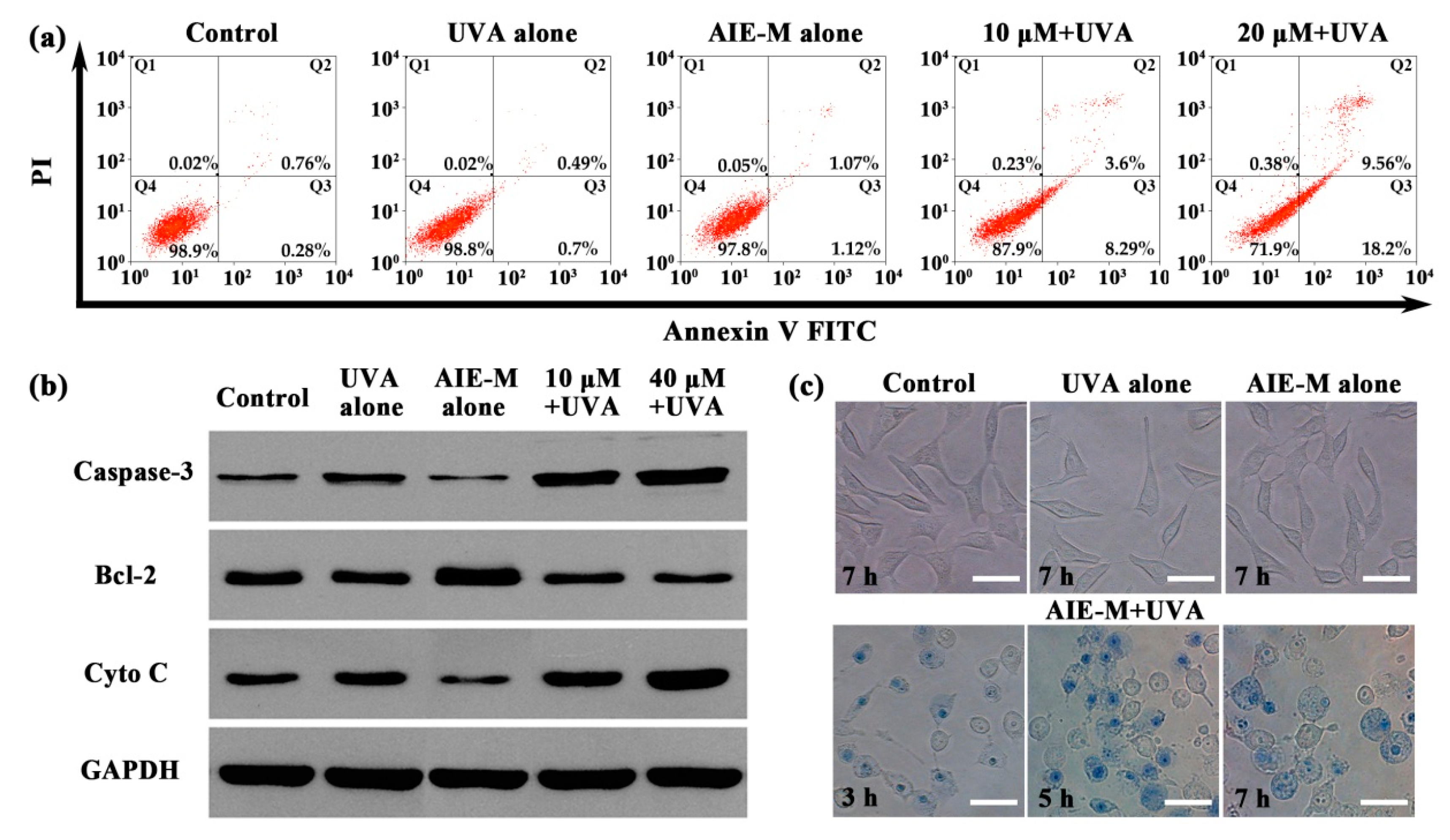 Nanomaterials 08 00921 g010