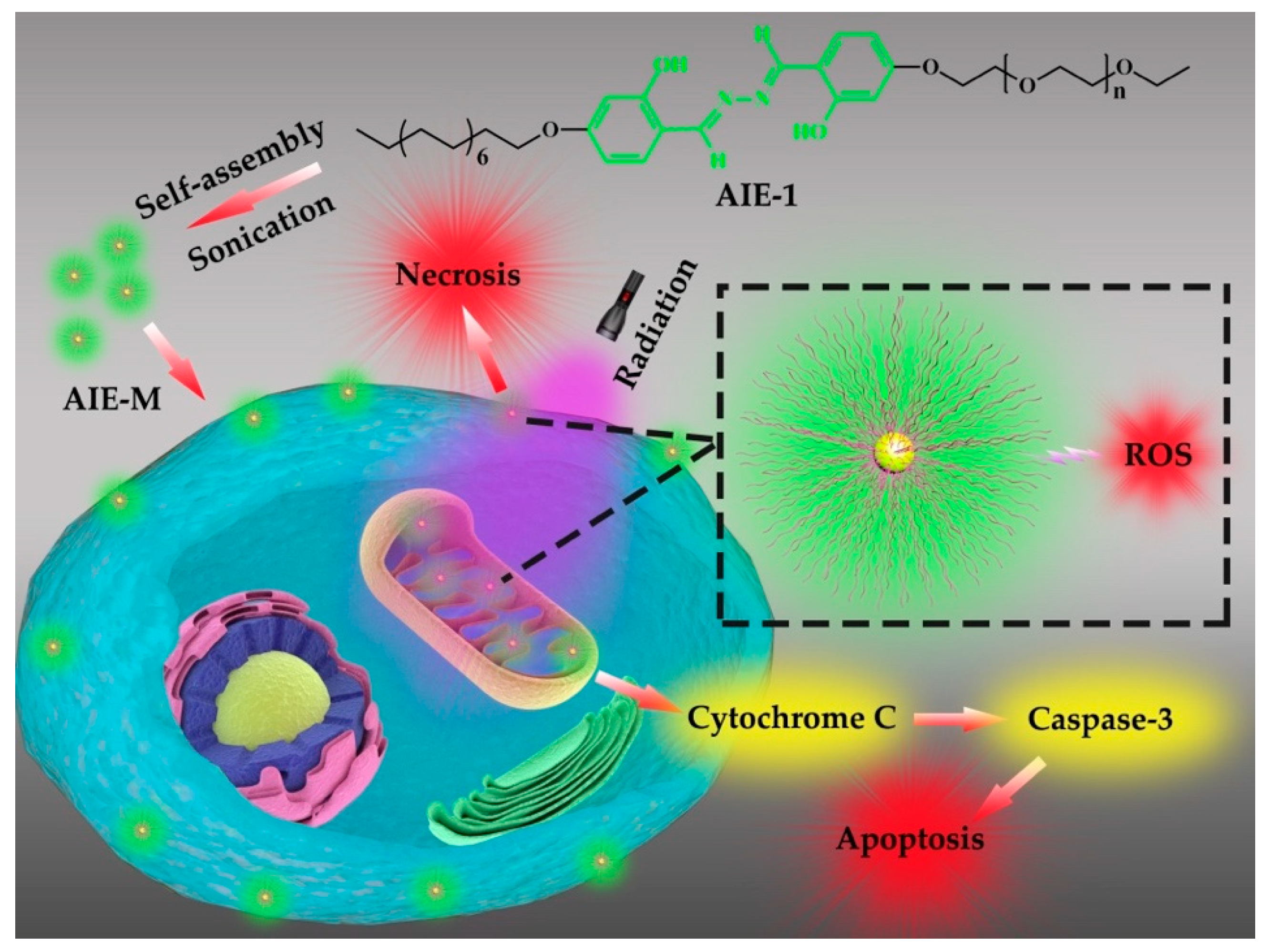 Nanomaterials 08 00921 sch001