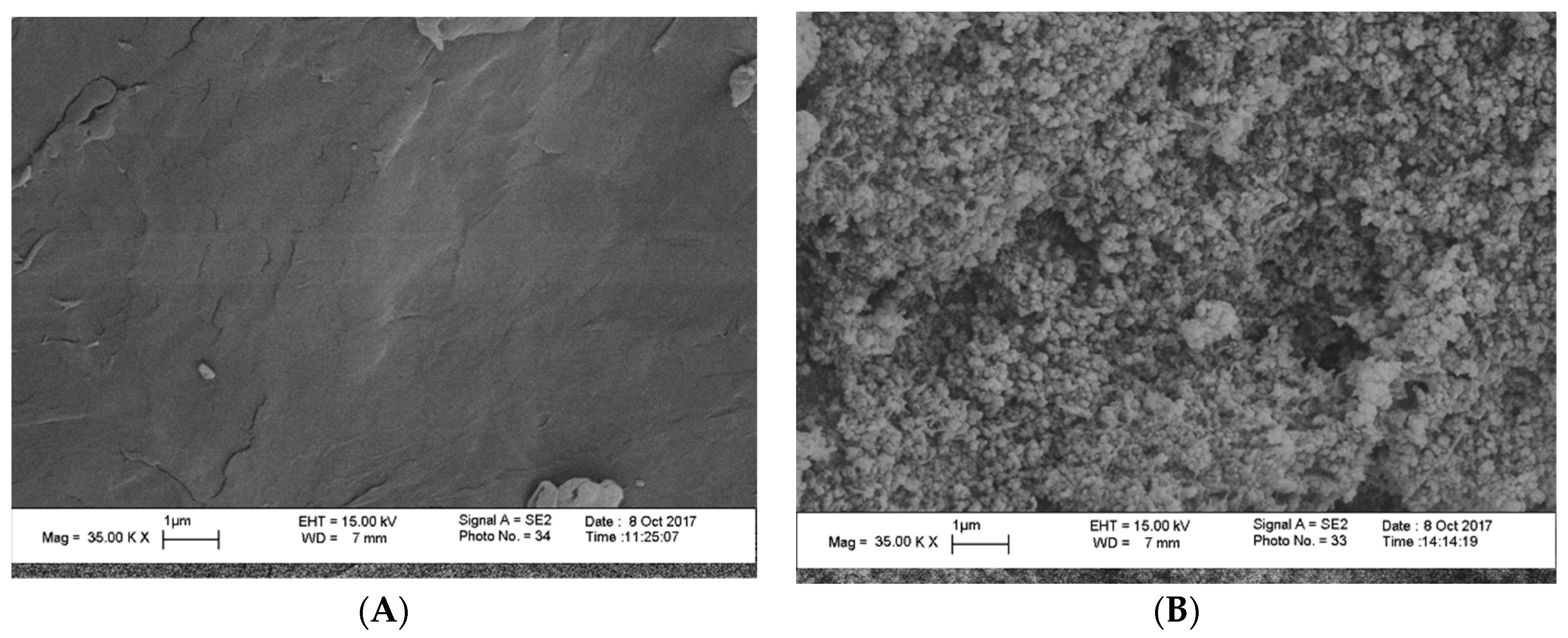 Nanomaterials 08 00928 g003 Nanomaterials 08 00928 g003