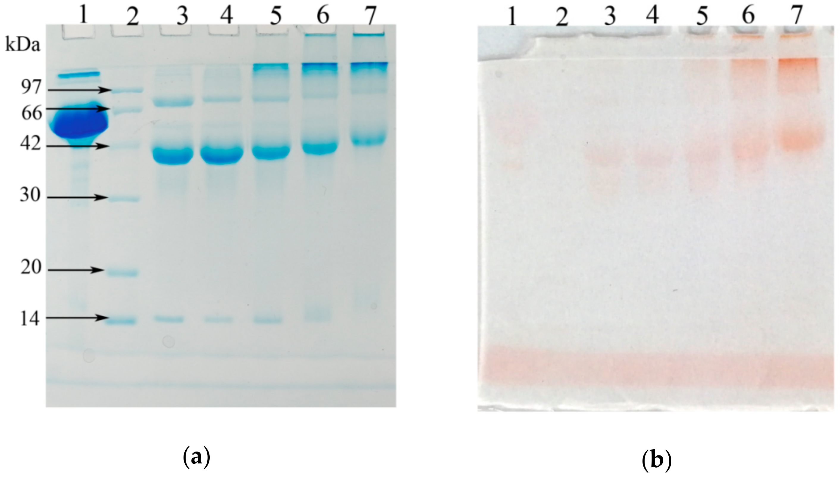 Nanomaterials 08 00943 g001