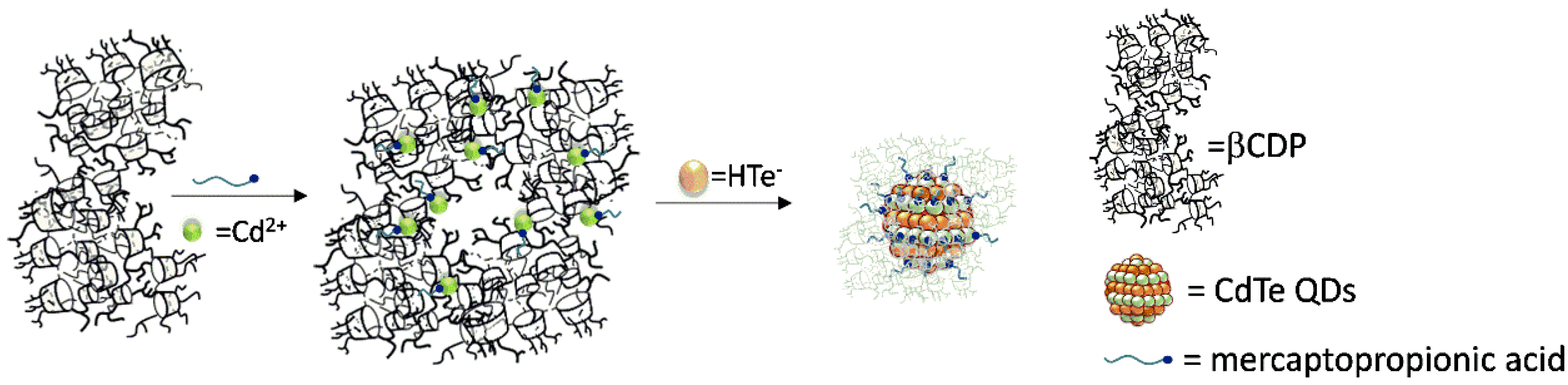 Nanomaterials 08 00948 sch001 Nanomaterials 08 00948 sch001