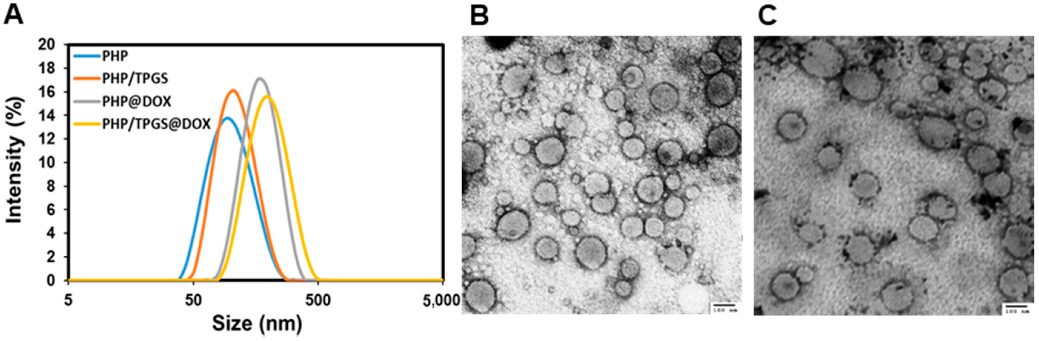 Nanomaterials 08 00952 g003