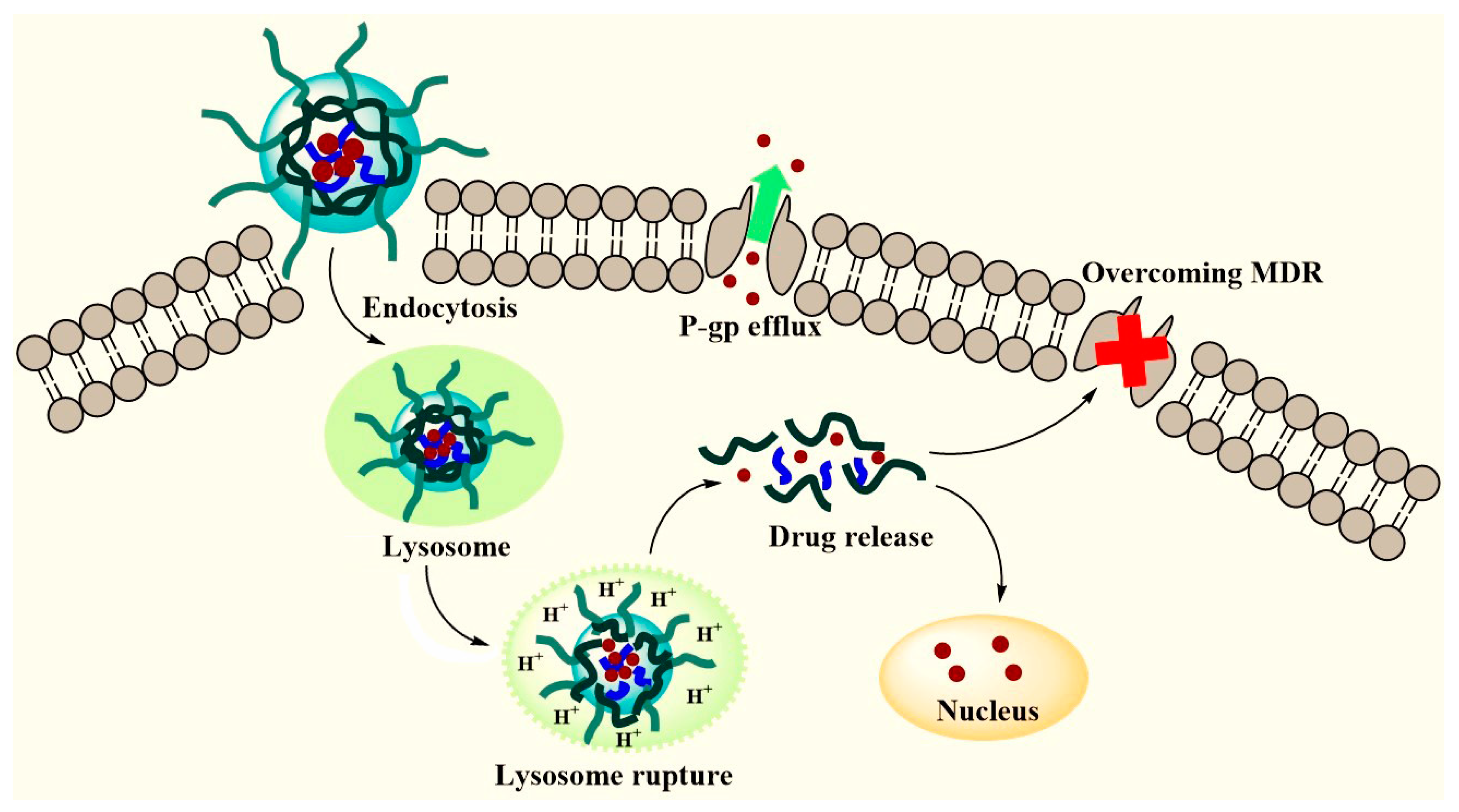 Nanomaterials 08 00952 sch001