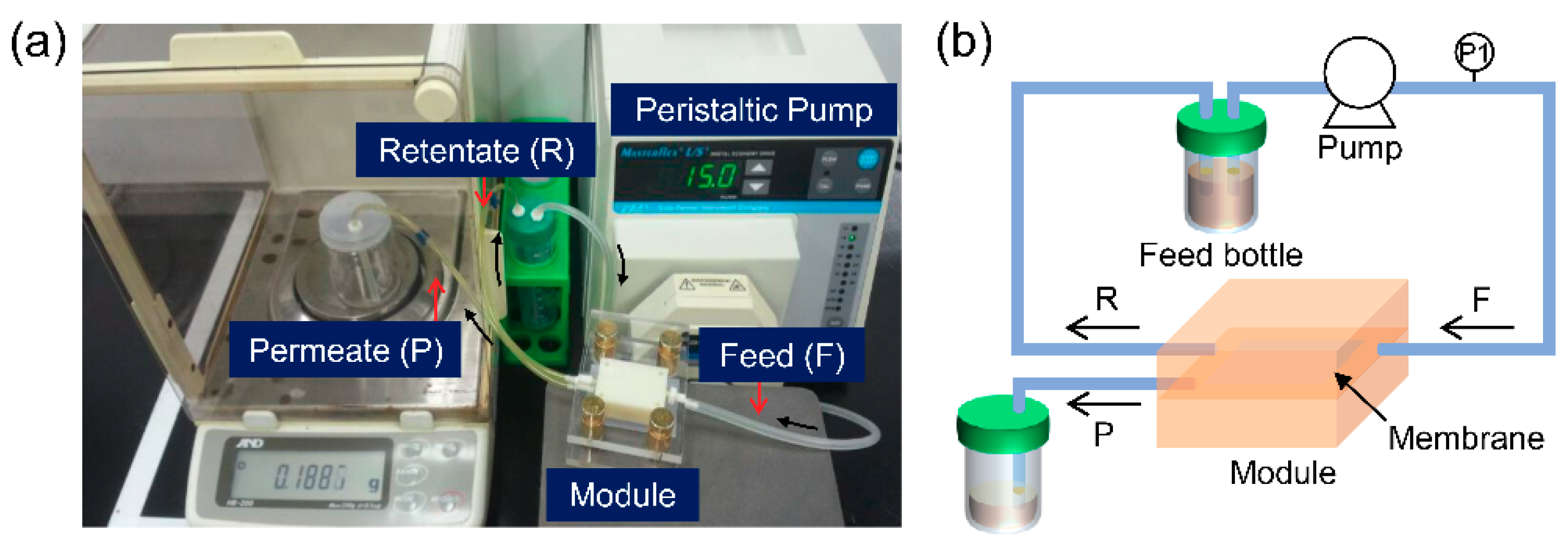 Nanomaterials 08 00959 g001