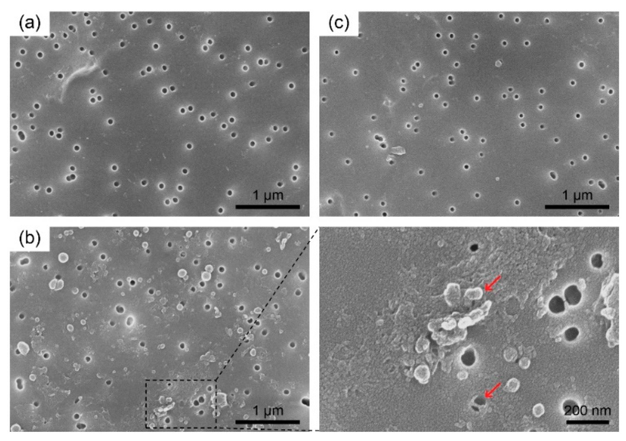 Nanomaterials 08 00959 g003