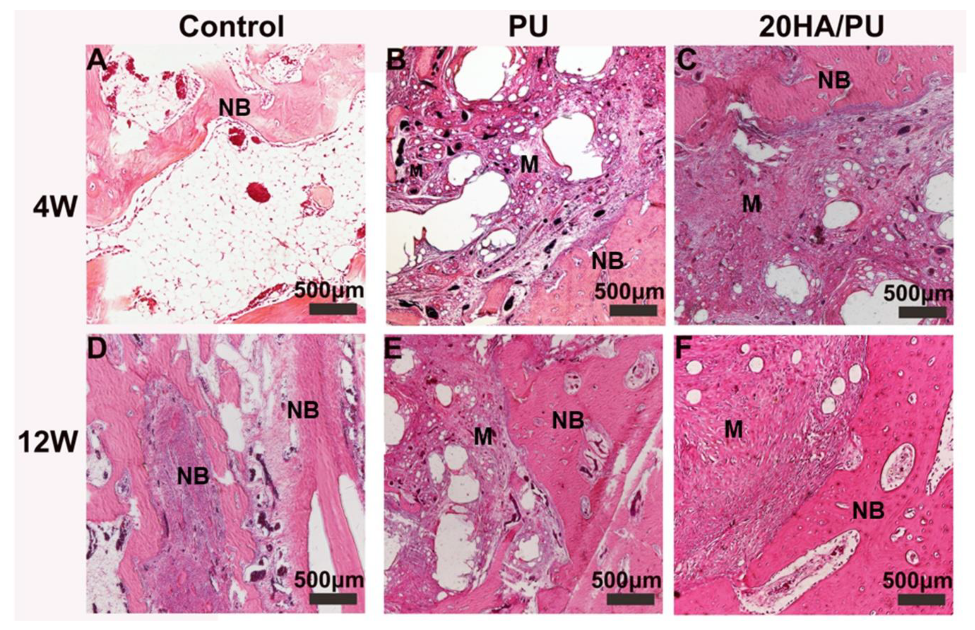 Nanomaterials 08 00972 g005 Nanomaterials 08 00972 g005