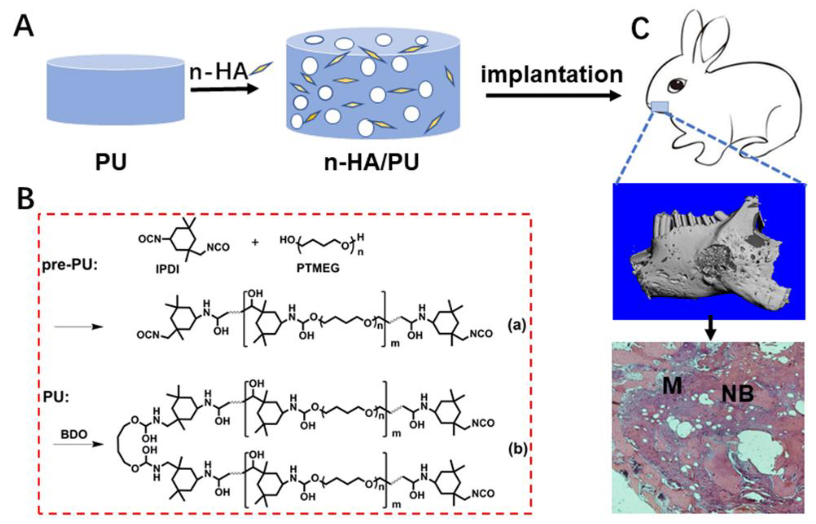 Nanomaterials 08 00972 sch001 Nanomaterials 08 00972 sch001